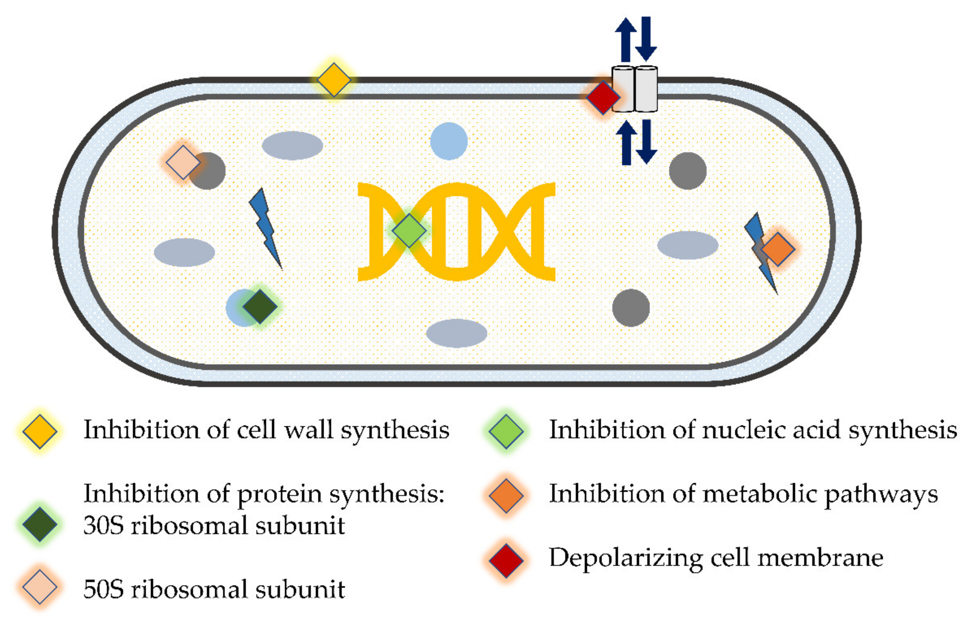 Antibiotics 11 00009 g002