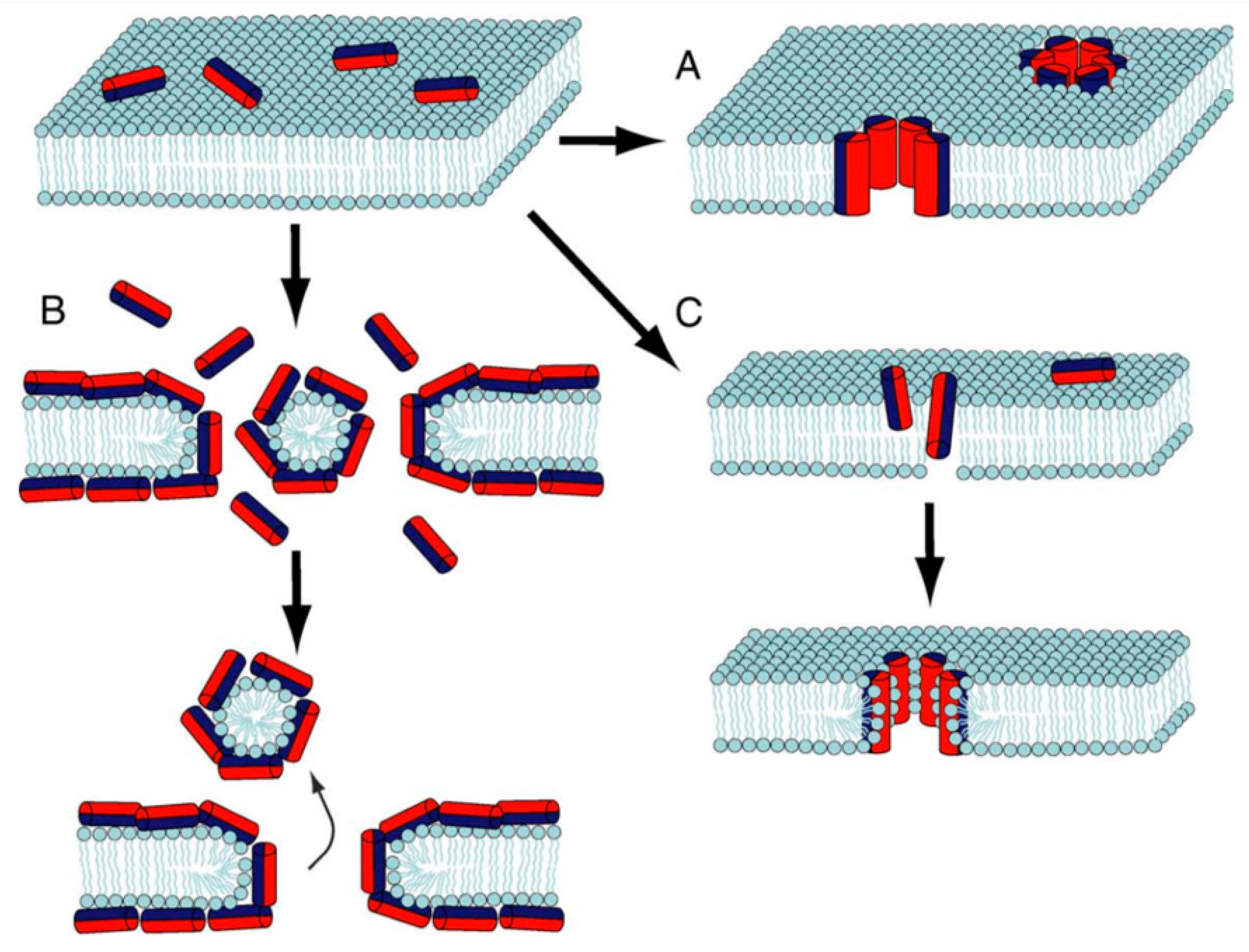 Antibiotics 11 00013 g003