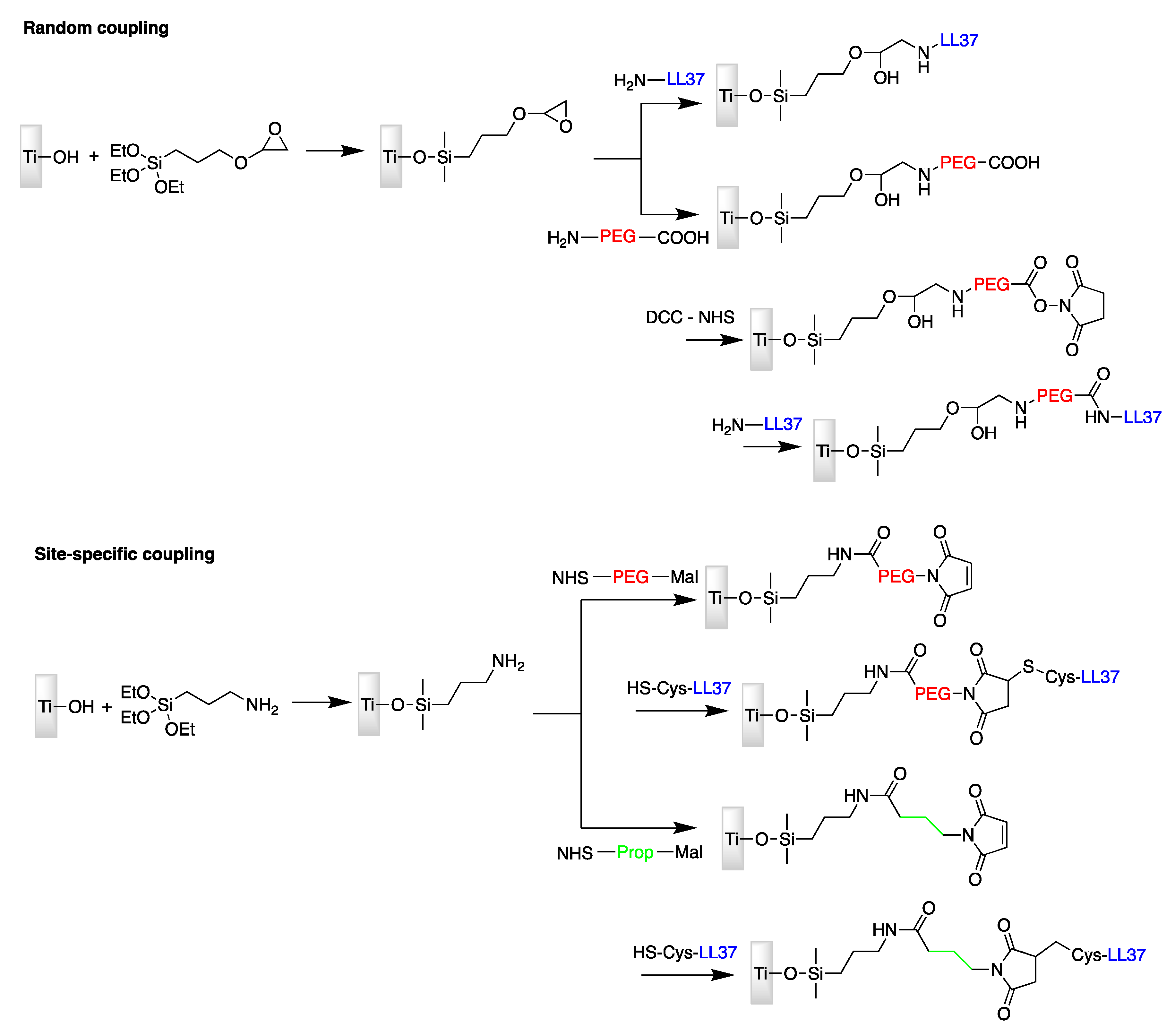 Antibiotics 11 00013 g006