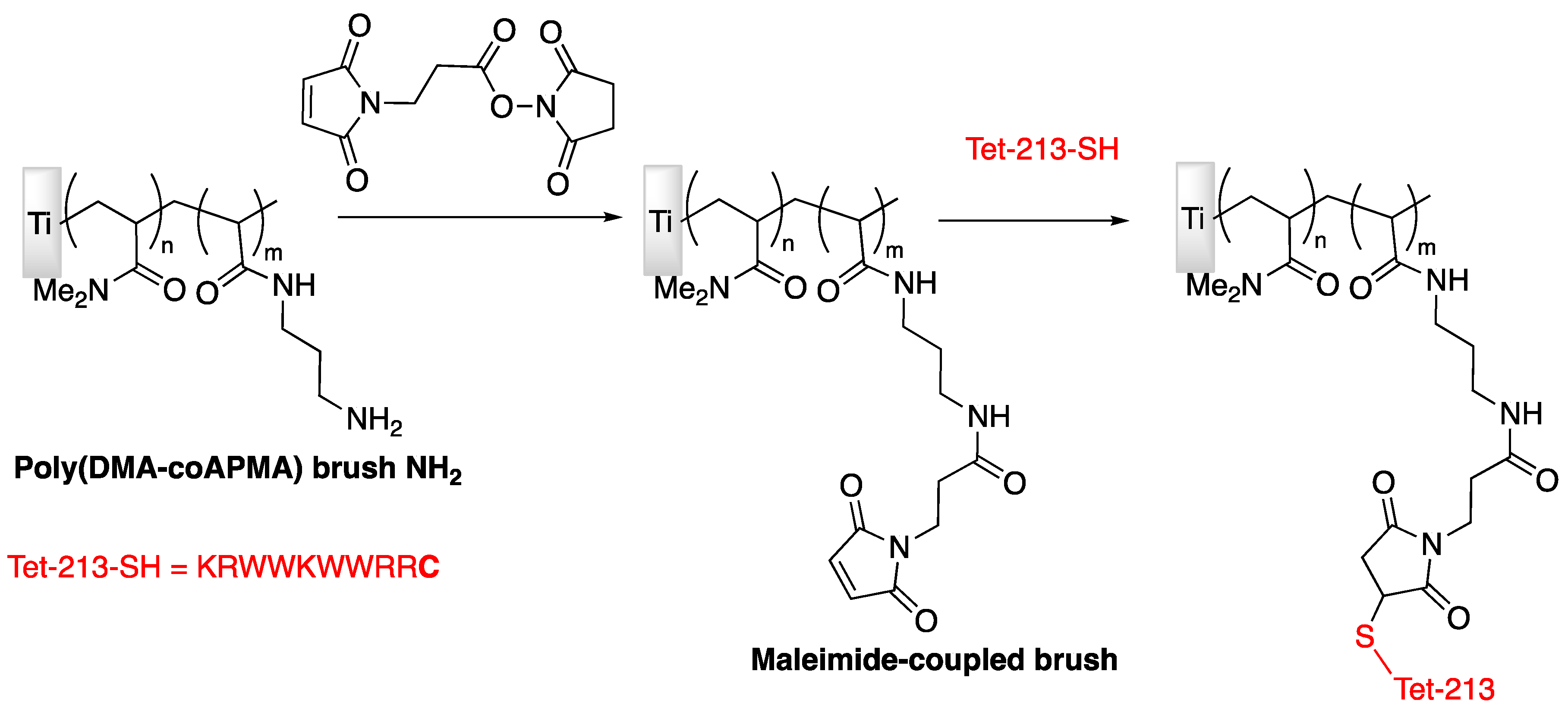 Antibiotics 11 00013 g010