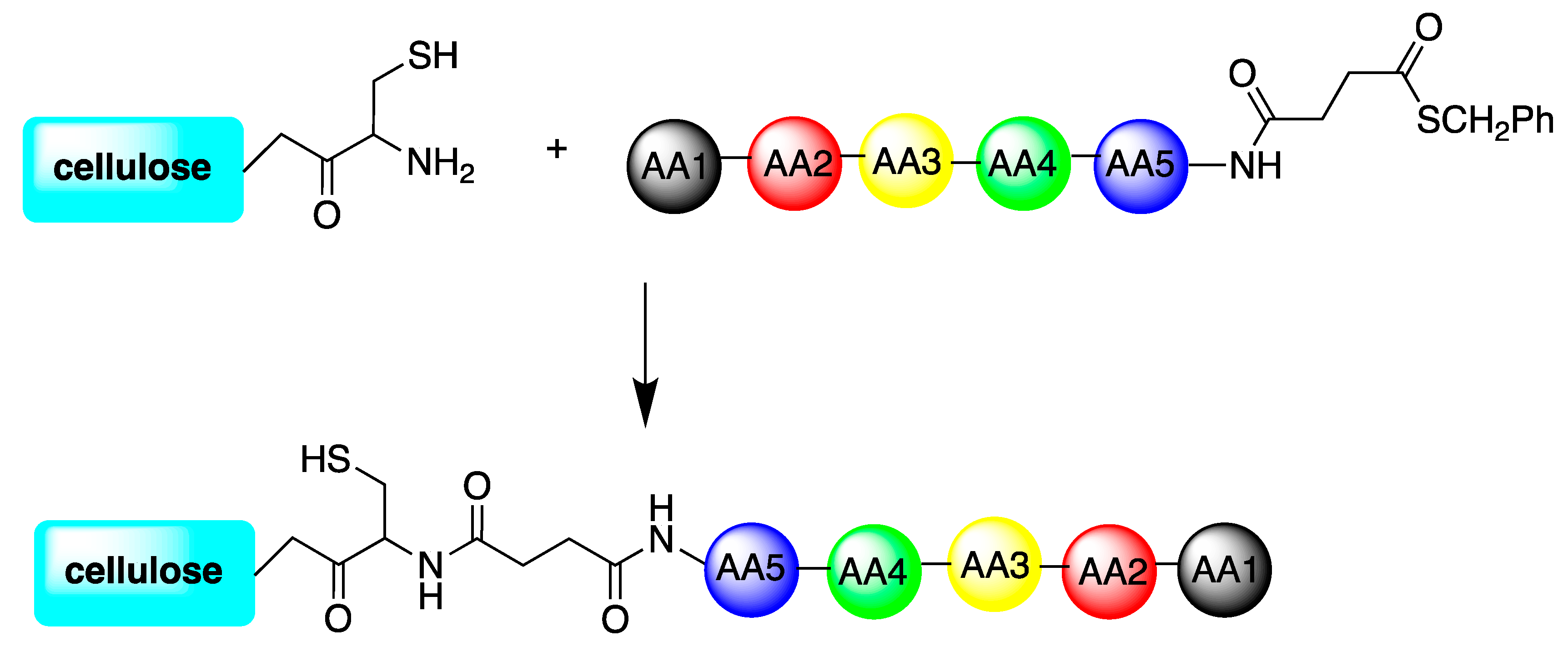 Antibiotics 11 00013 g014