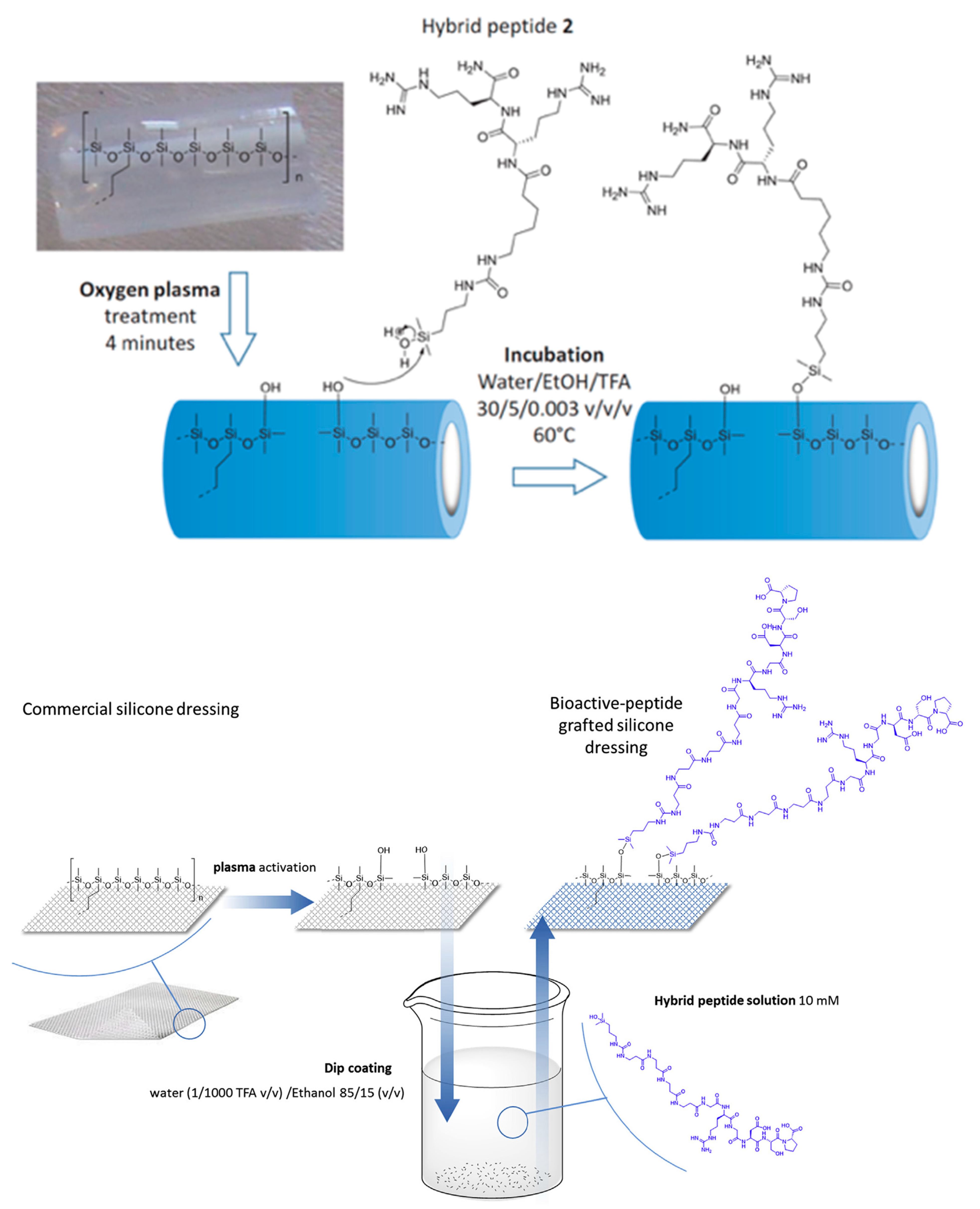 Antibiotics 11 00013 g016