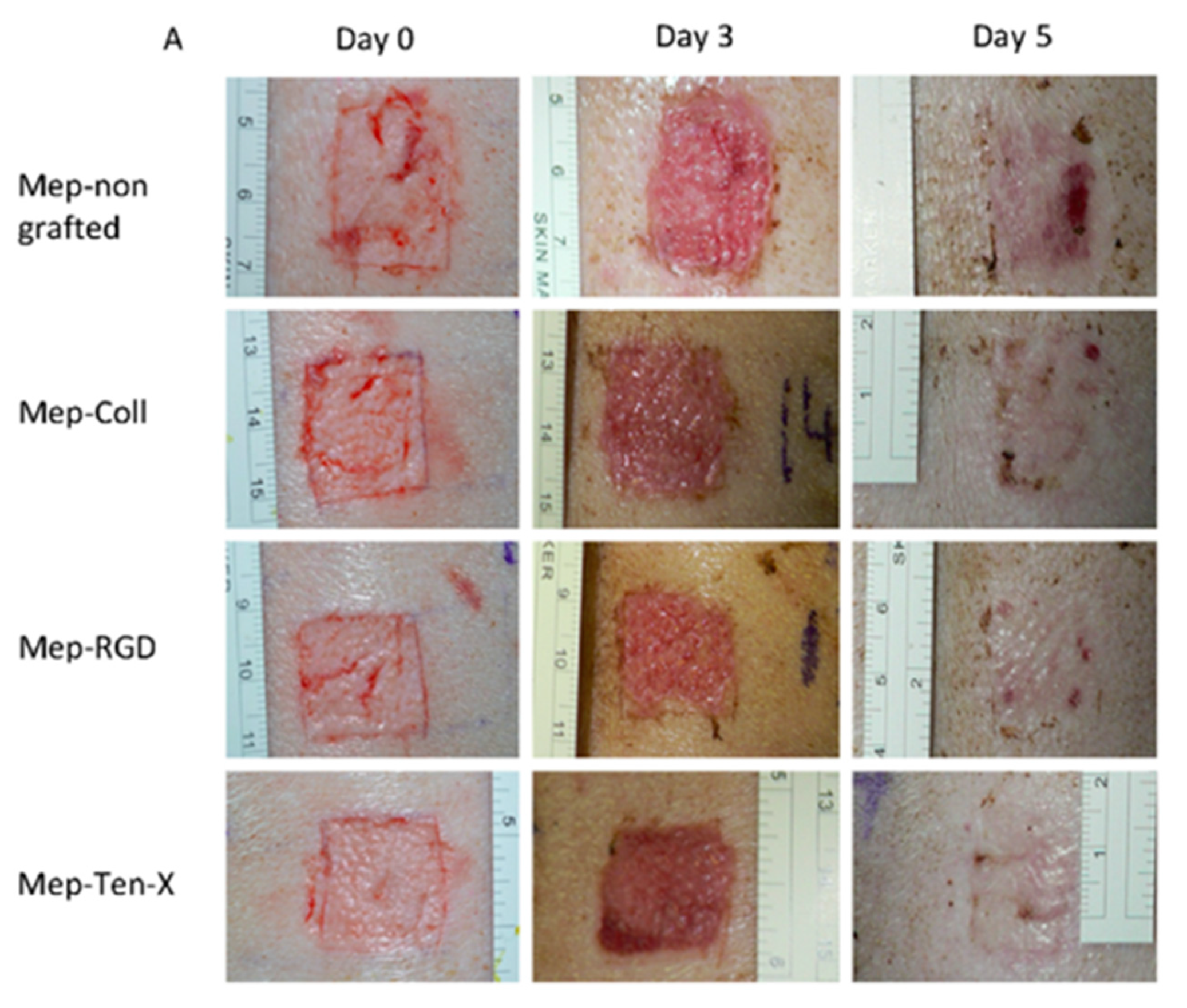 Antibiotics 11 00013 g017a