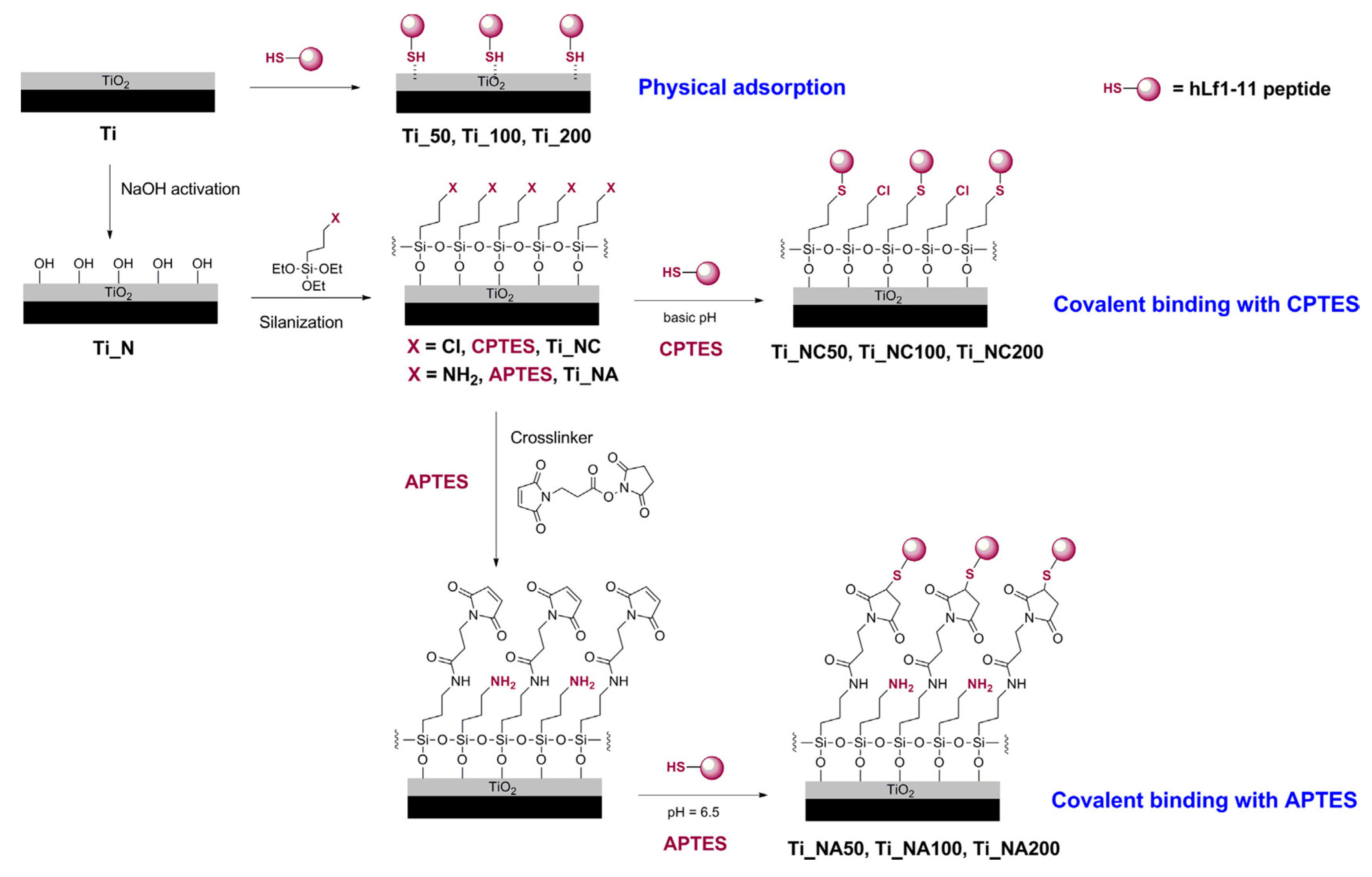 Antibiotics 11 00013 g019