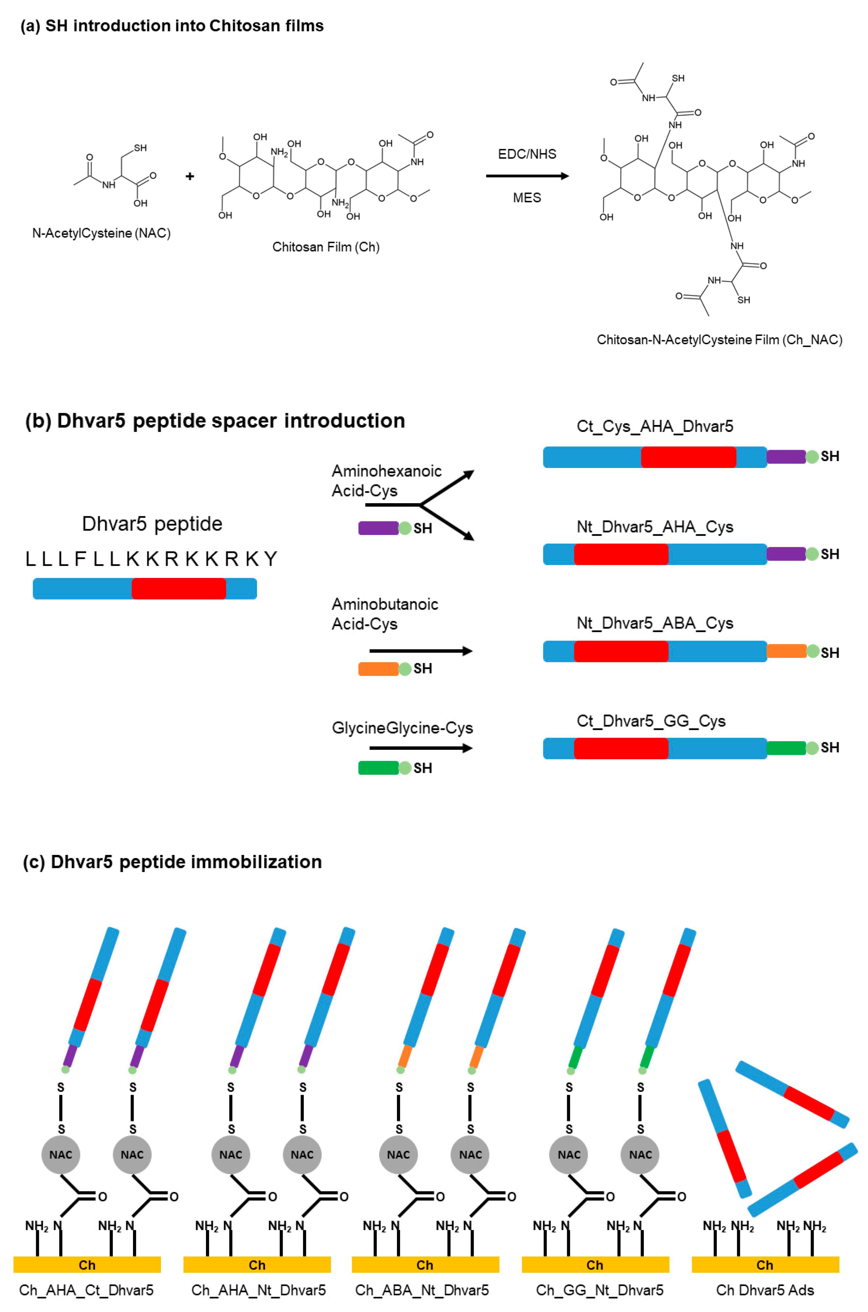 Antibiotics 11 00013 g021