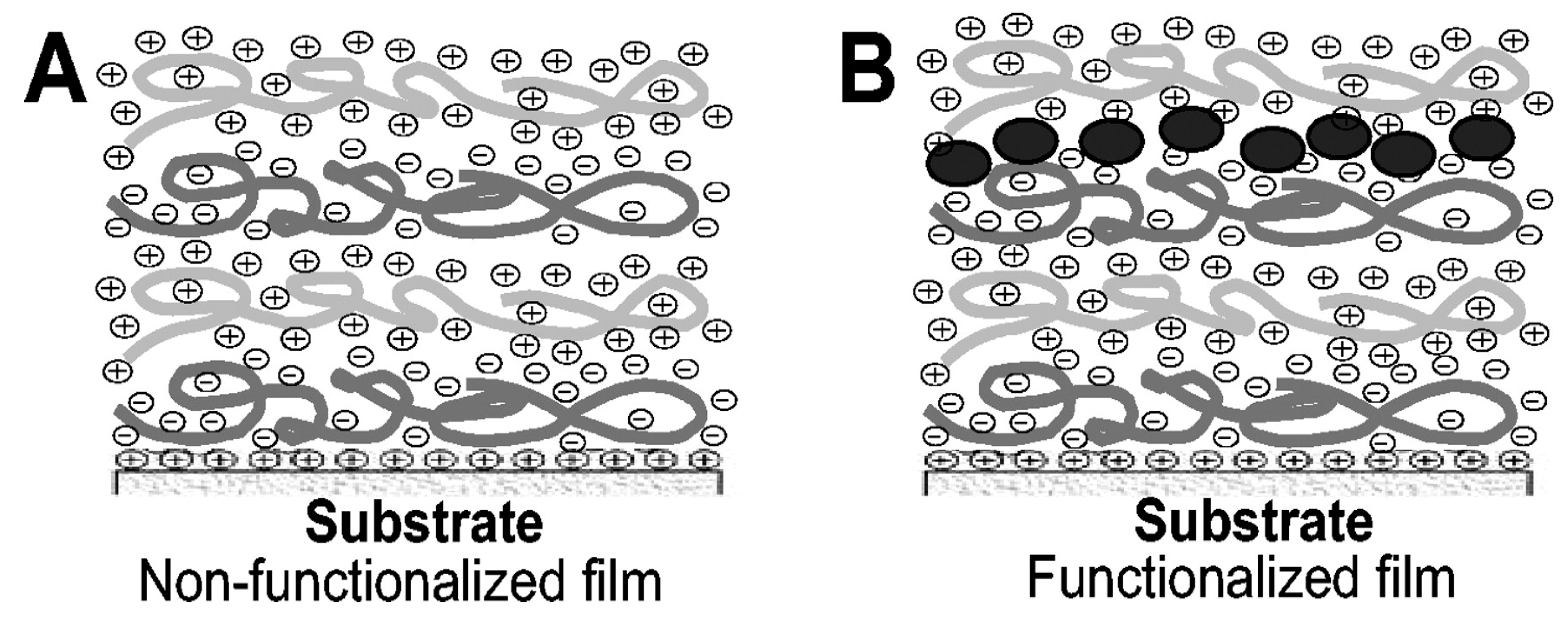 Antibiotics 11 00013 g022