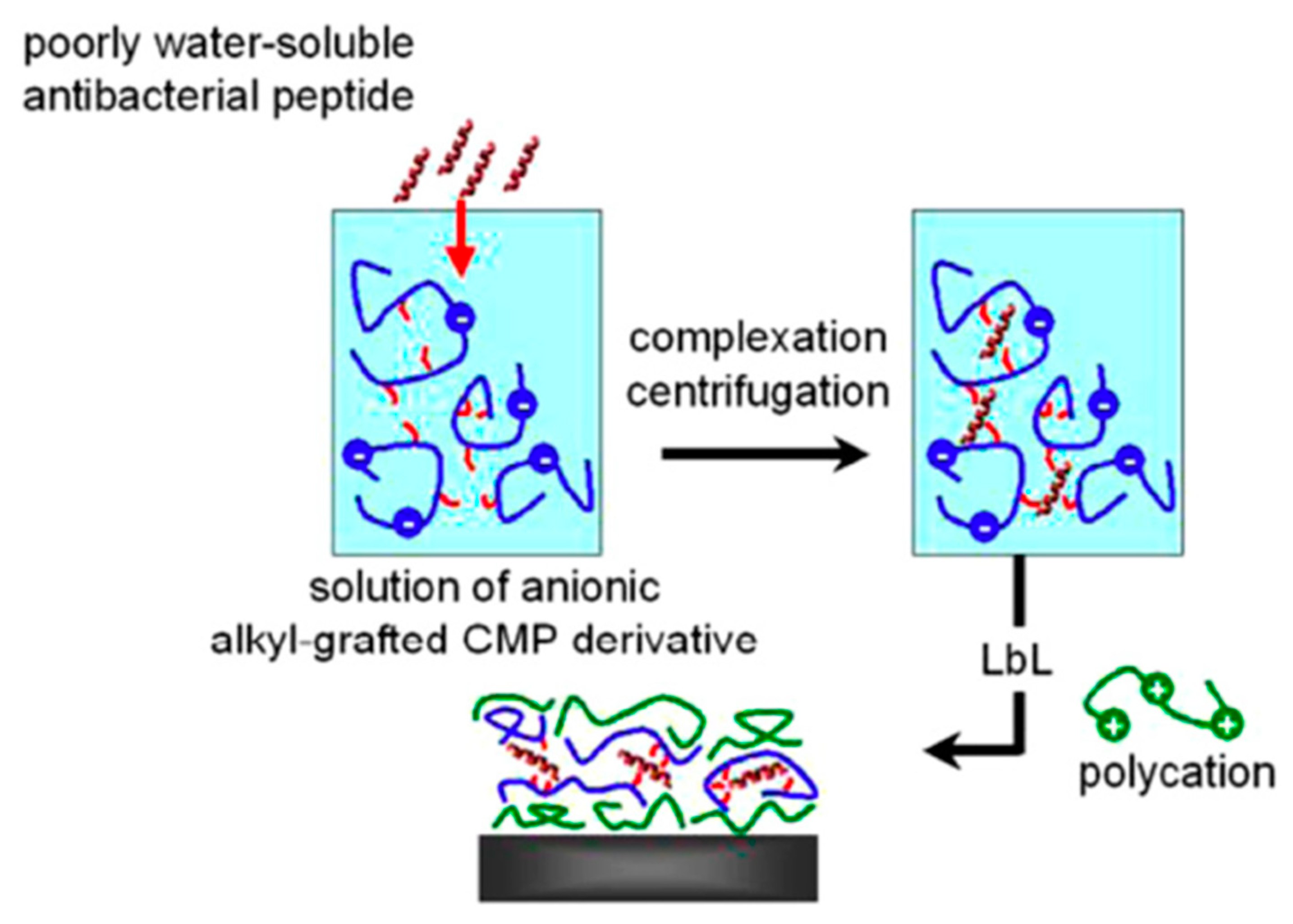 Antibiotics 11 00013 g023