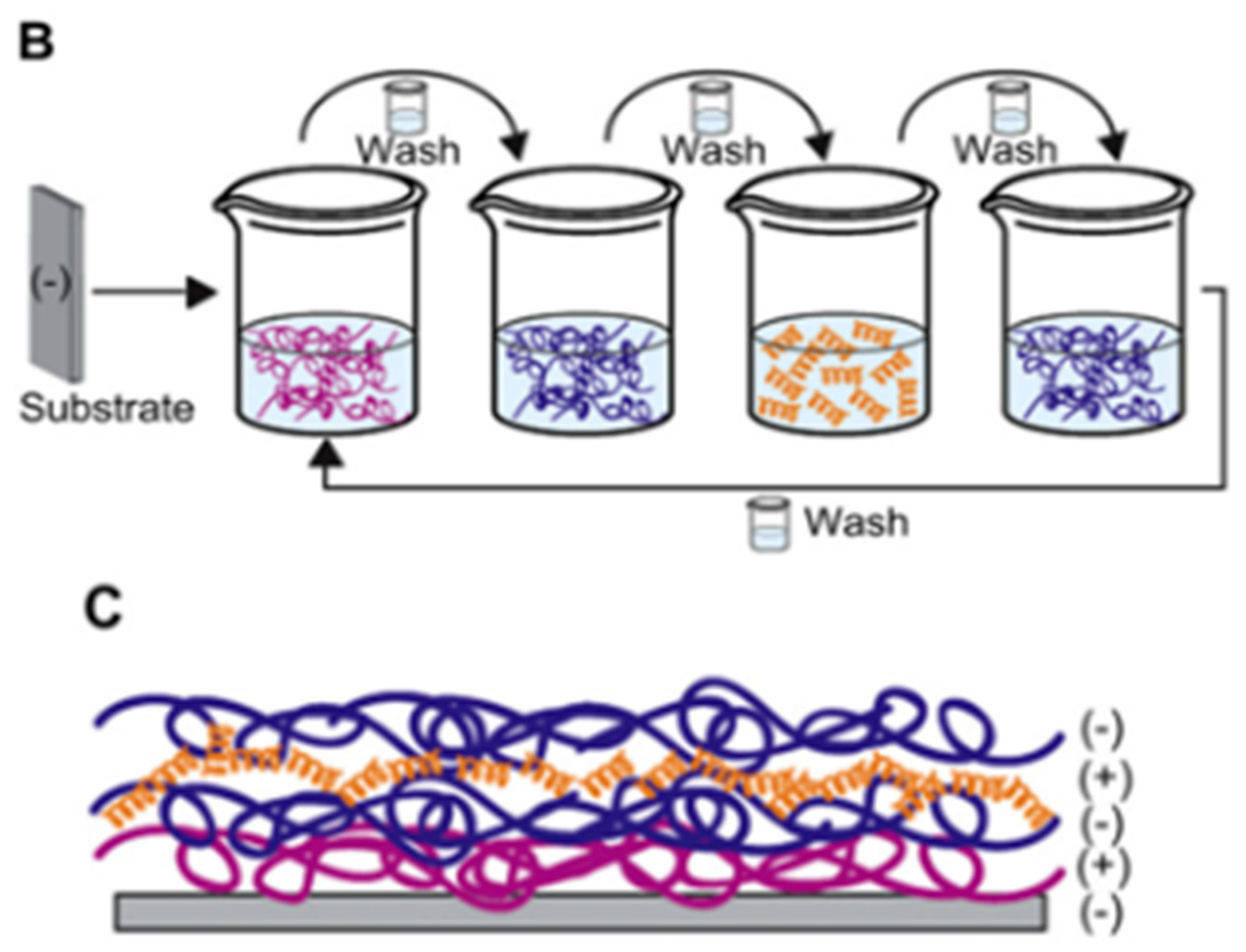 Antibiotics 11 00013 g024b