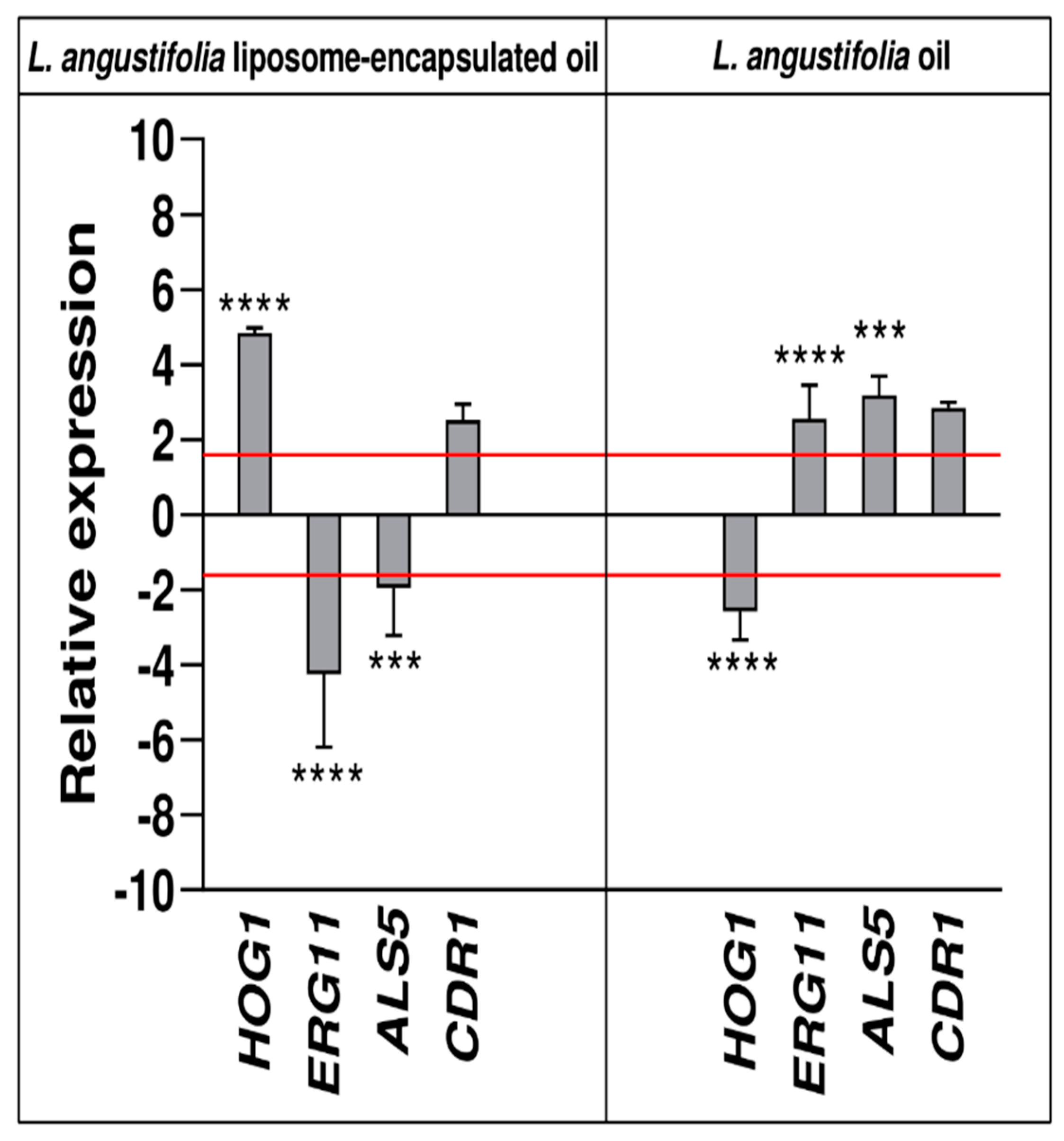 Antibiotics 11 00026 g008