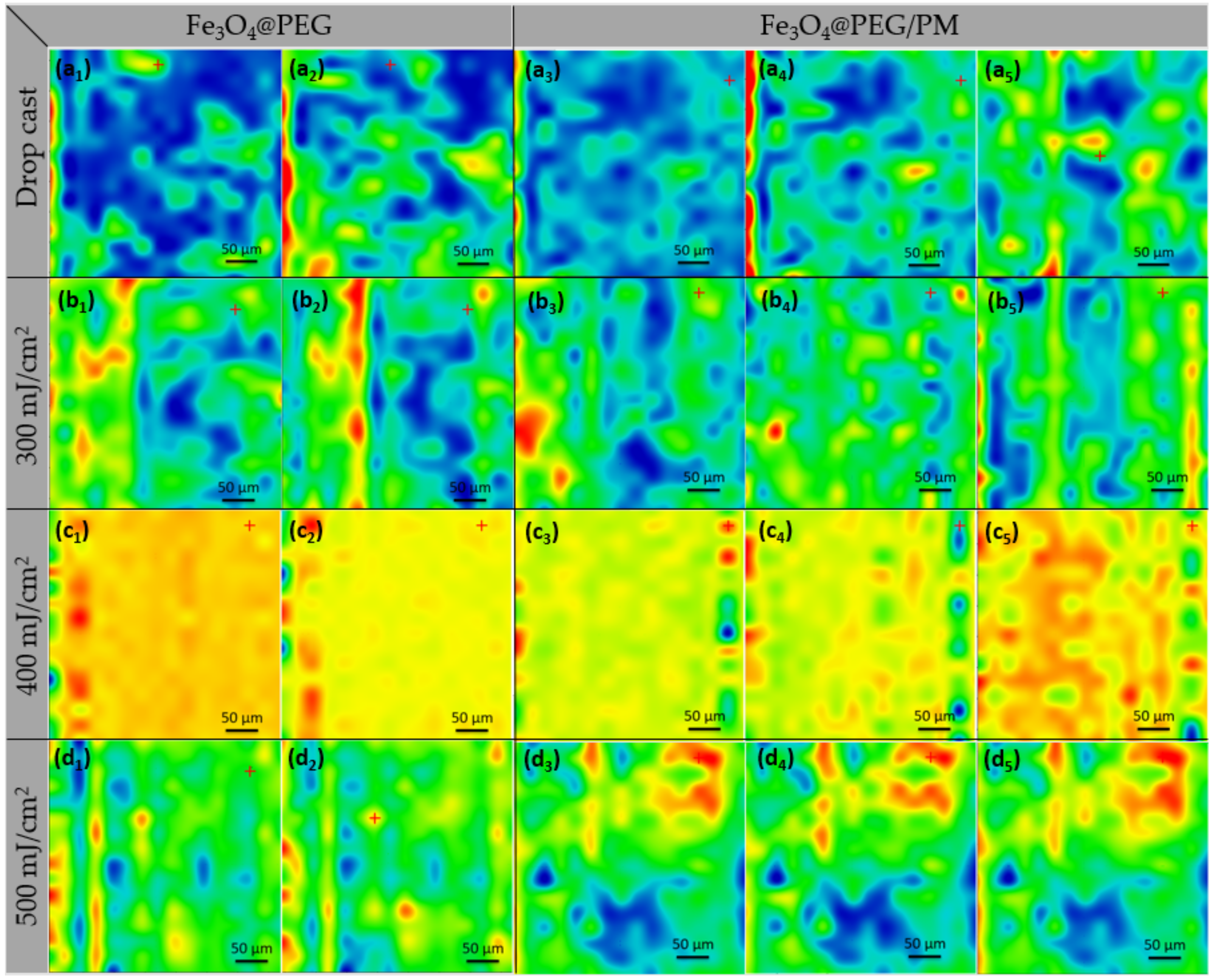 Antibiotics 11 00039 g006