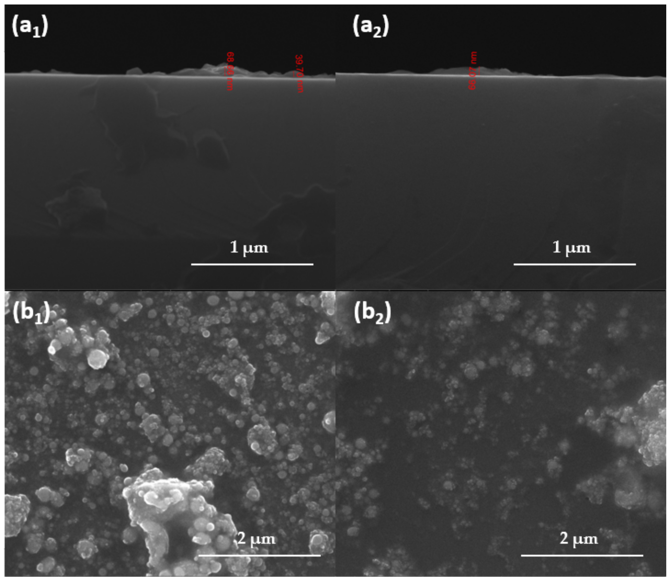 Antibiotics 11 00039 g008