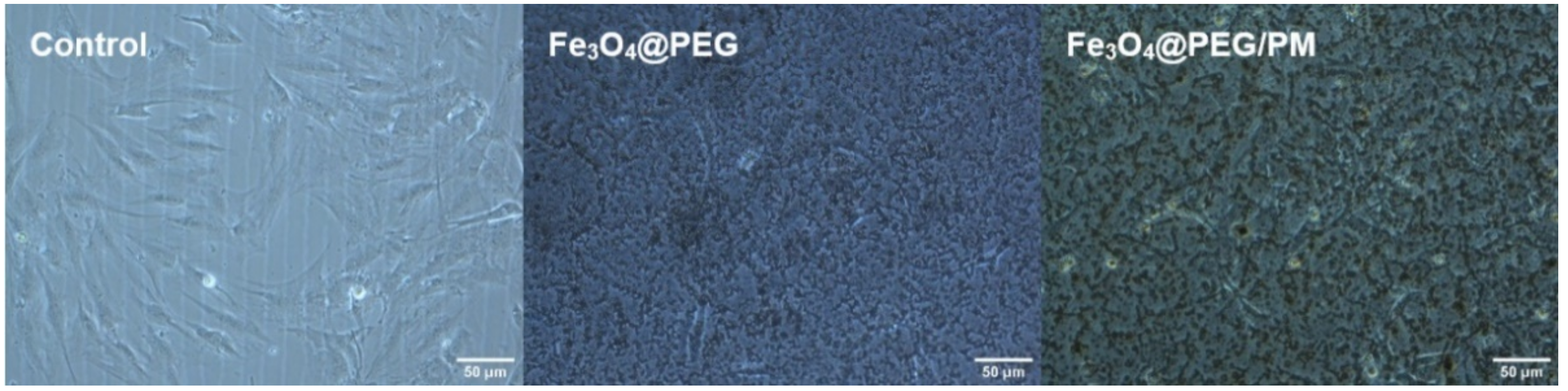 Antibiotics 11 00039 g011