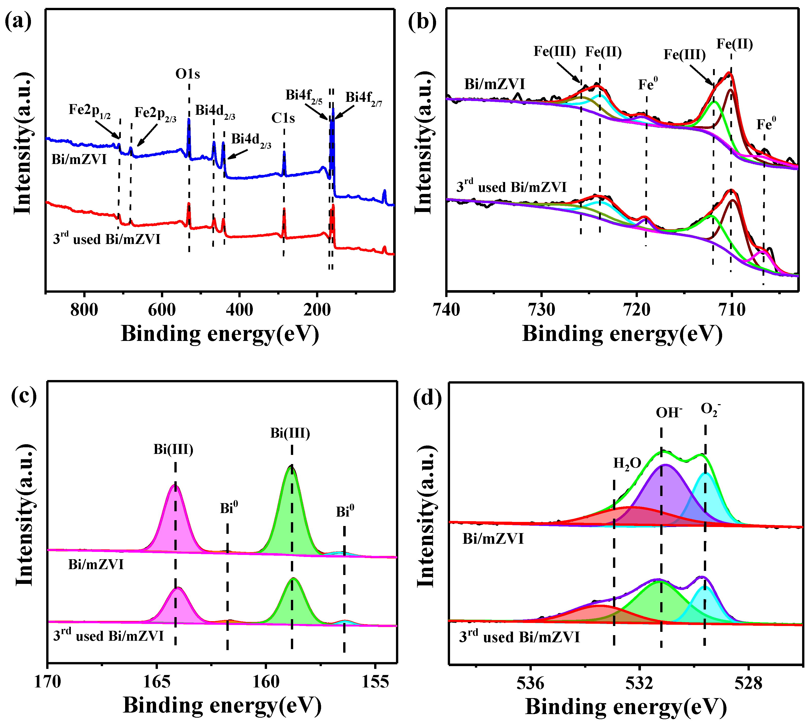 Antibiotics 11 00051 g002