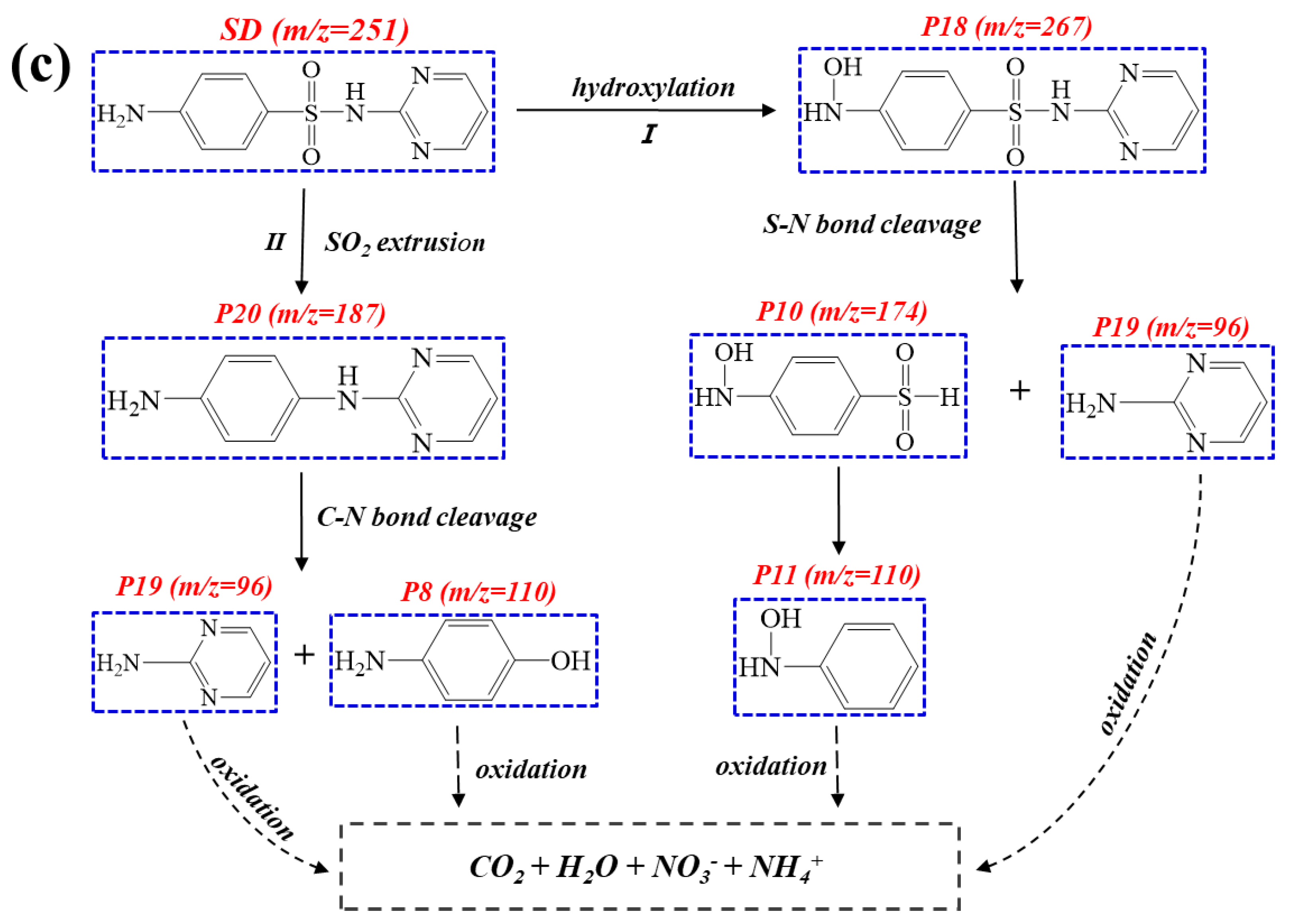 Antibiotics 11 00051 g005b