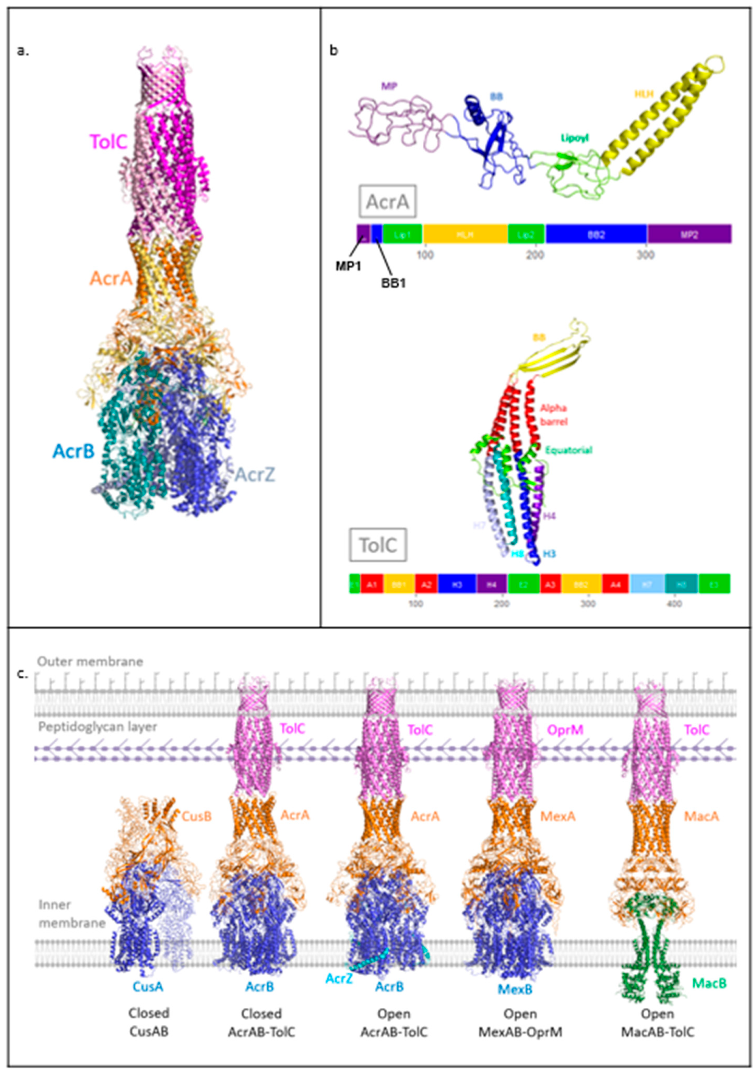 Antibiotics 11 00052 g001