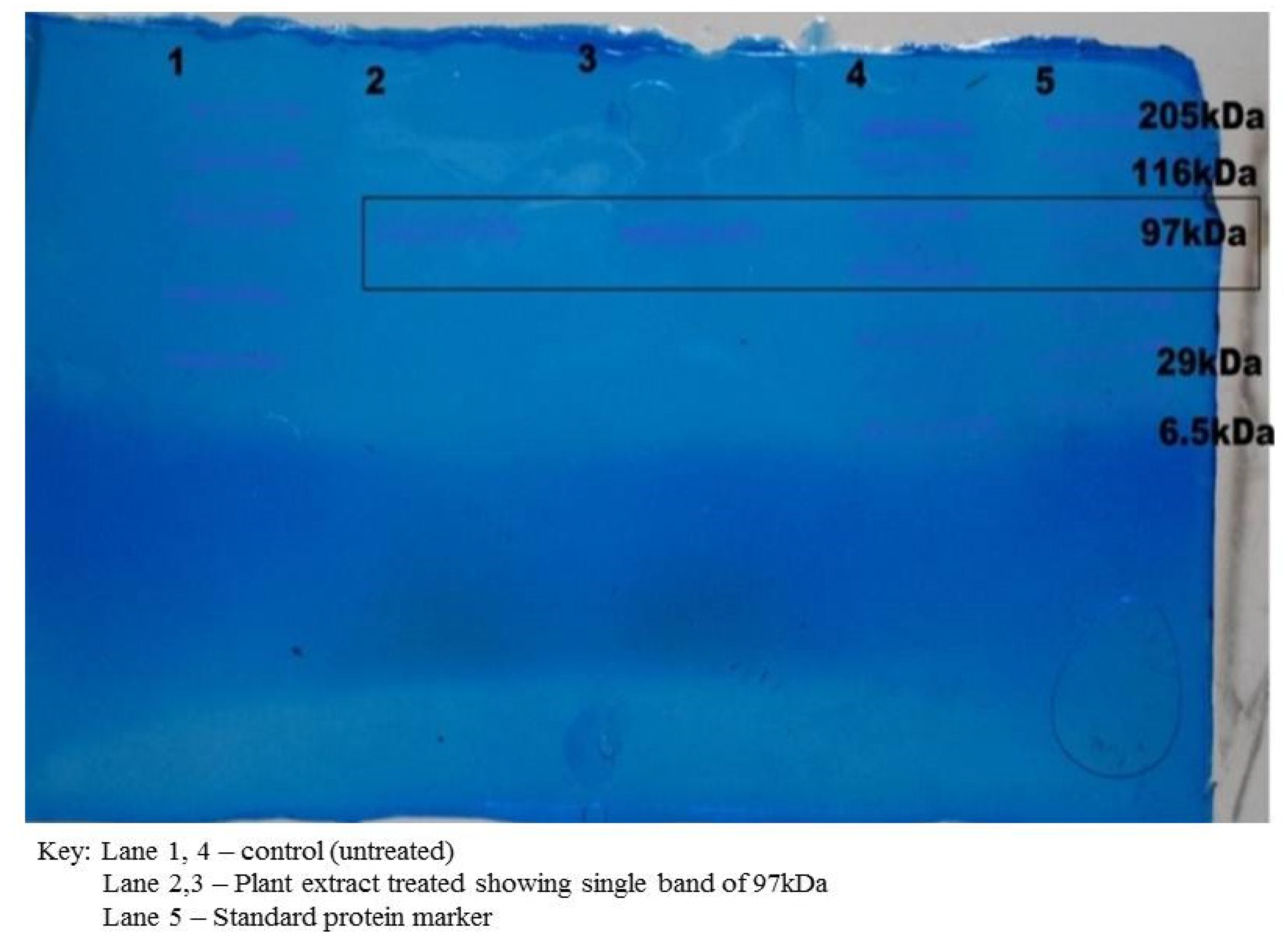 Antibiotics 11 00059 g004 Antibiotics 11 00059 g004