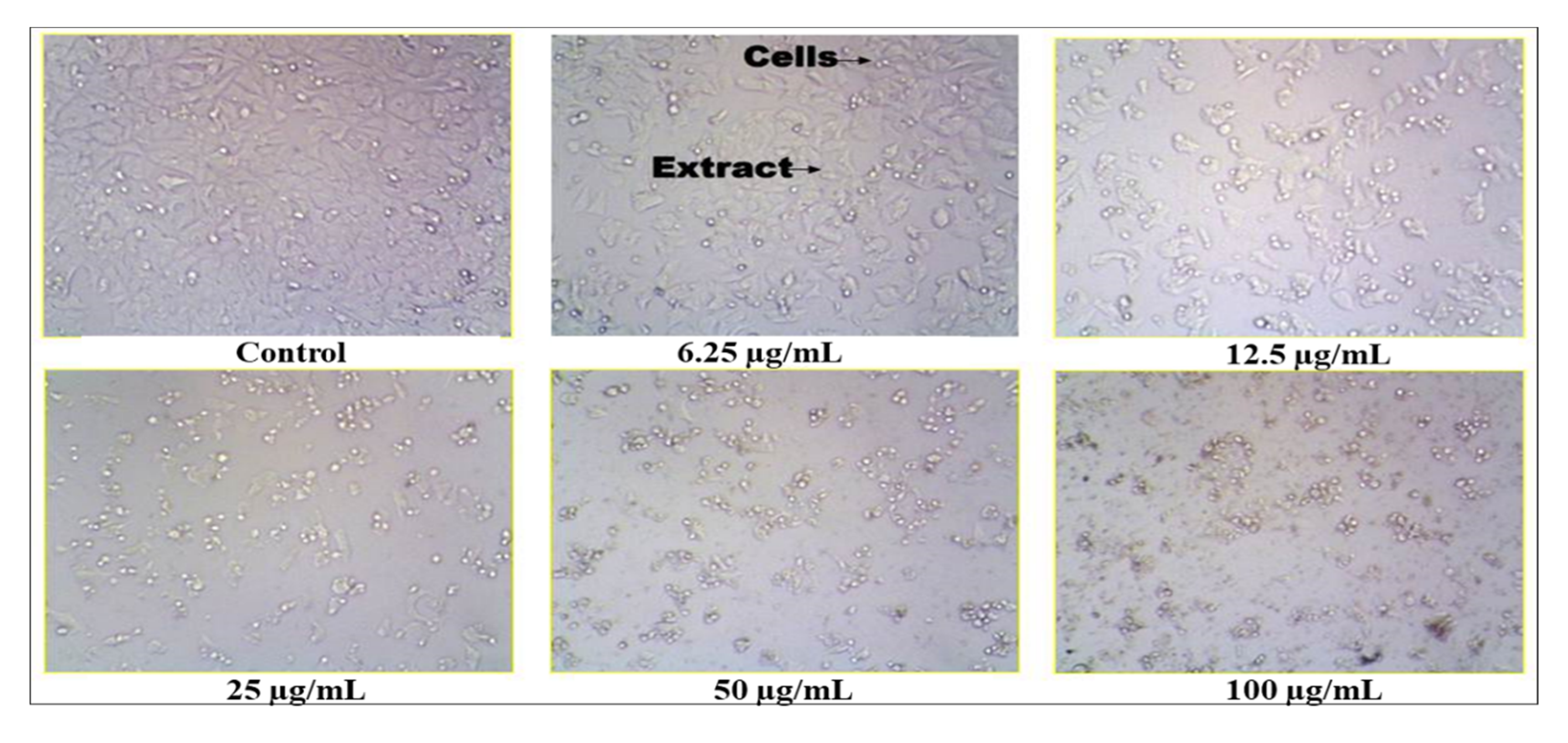 Antibiotics 11 00059 g007 Antibiotics 11 00059 g007
