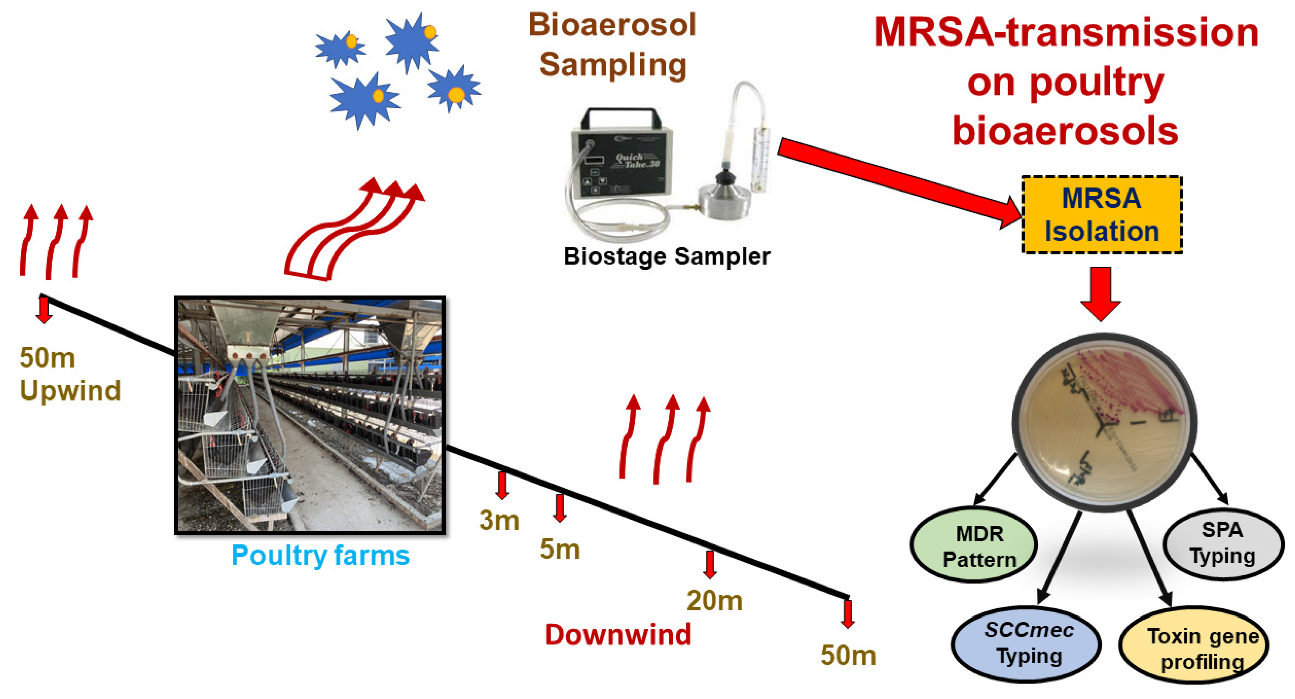 Antibiotics 11 00081 g001