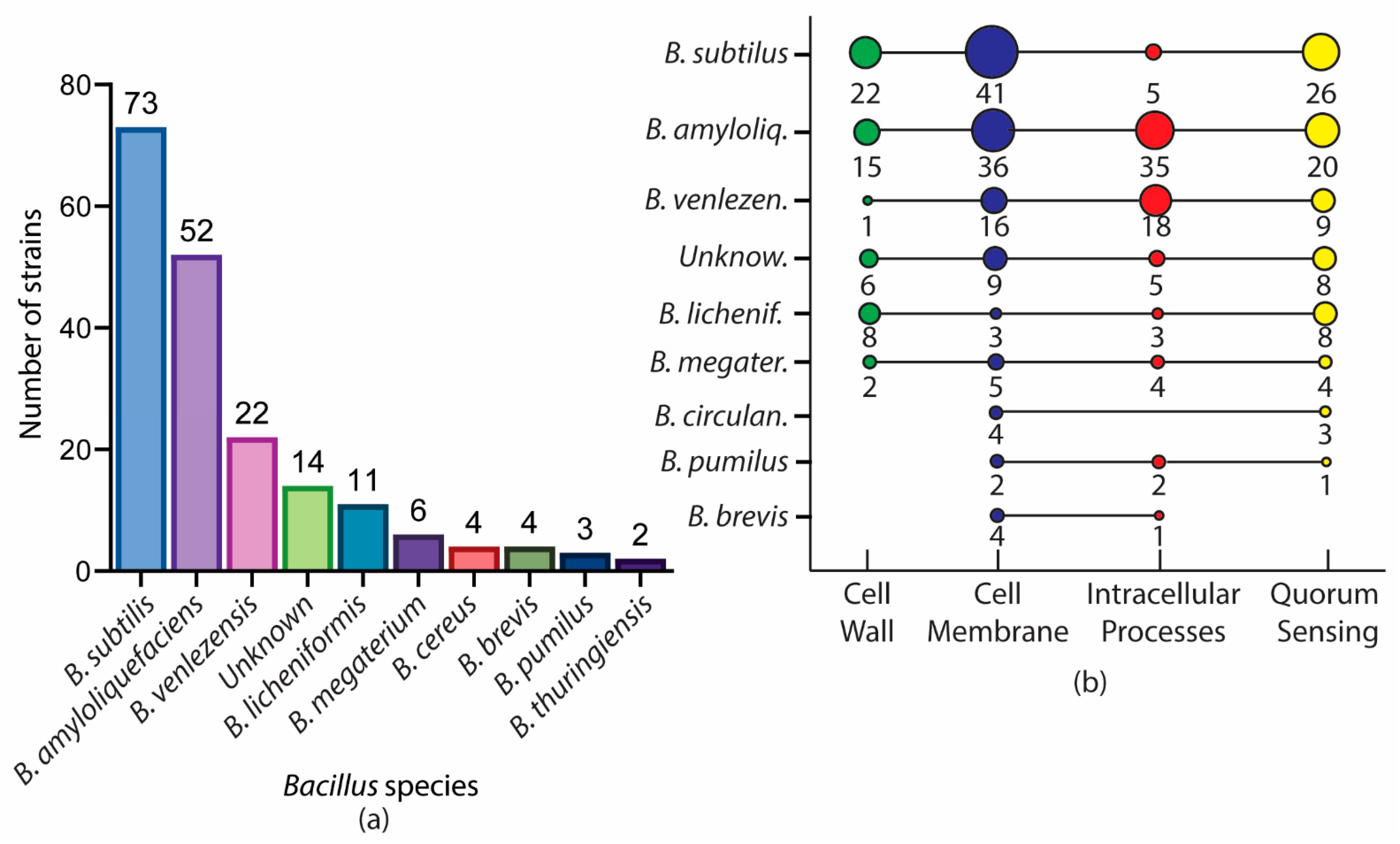 Antibiotics 11 00088 g012 Antibiotics 11 00088 g012