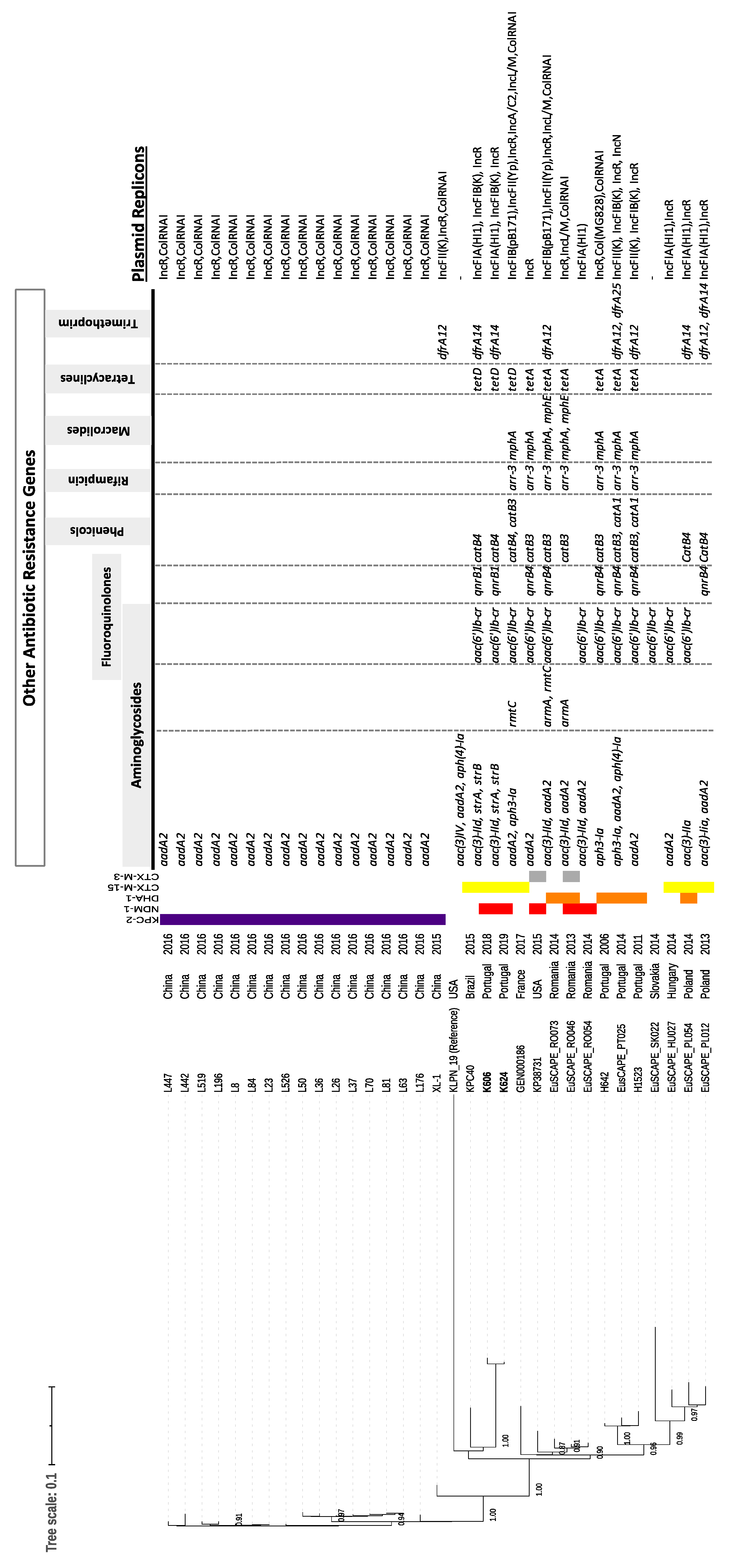 Antibiotics 11 00092 g001