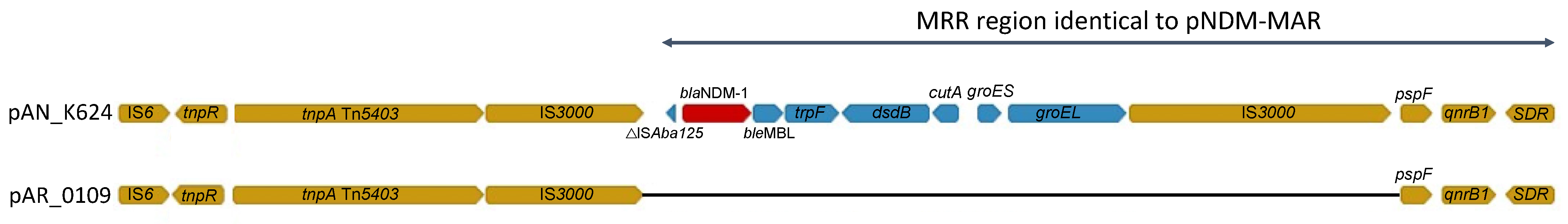 Antibiotics 11 00092 g002