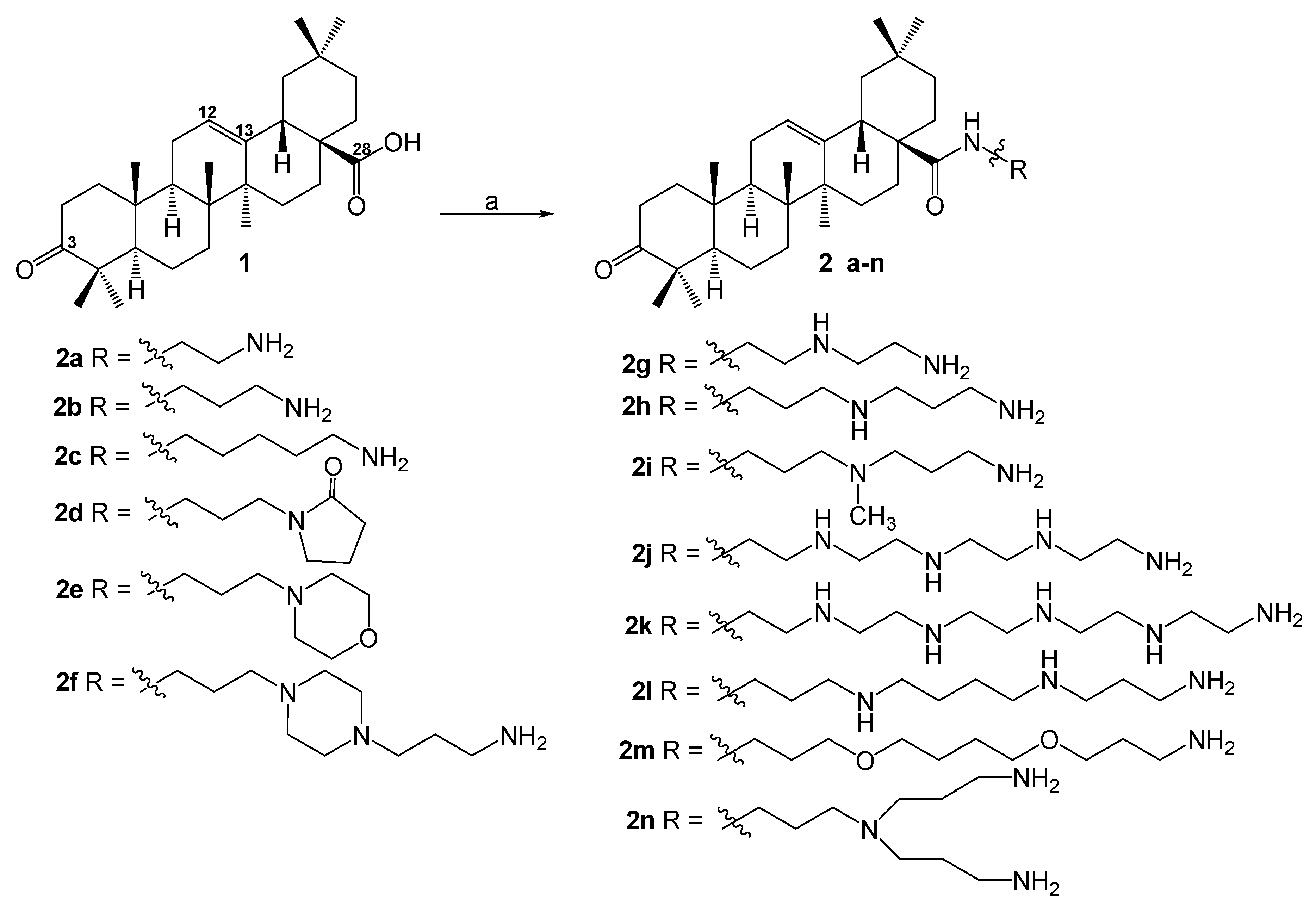 Antibiotics 11 00094 sch001