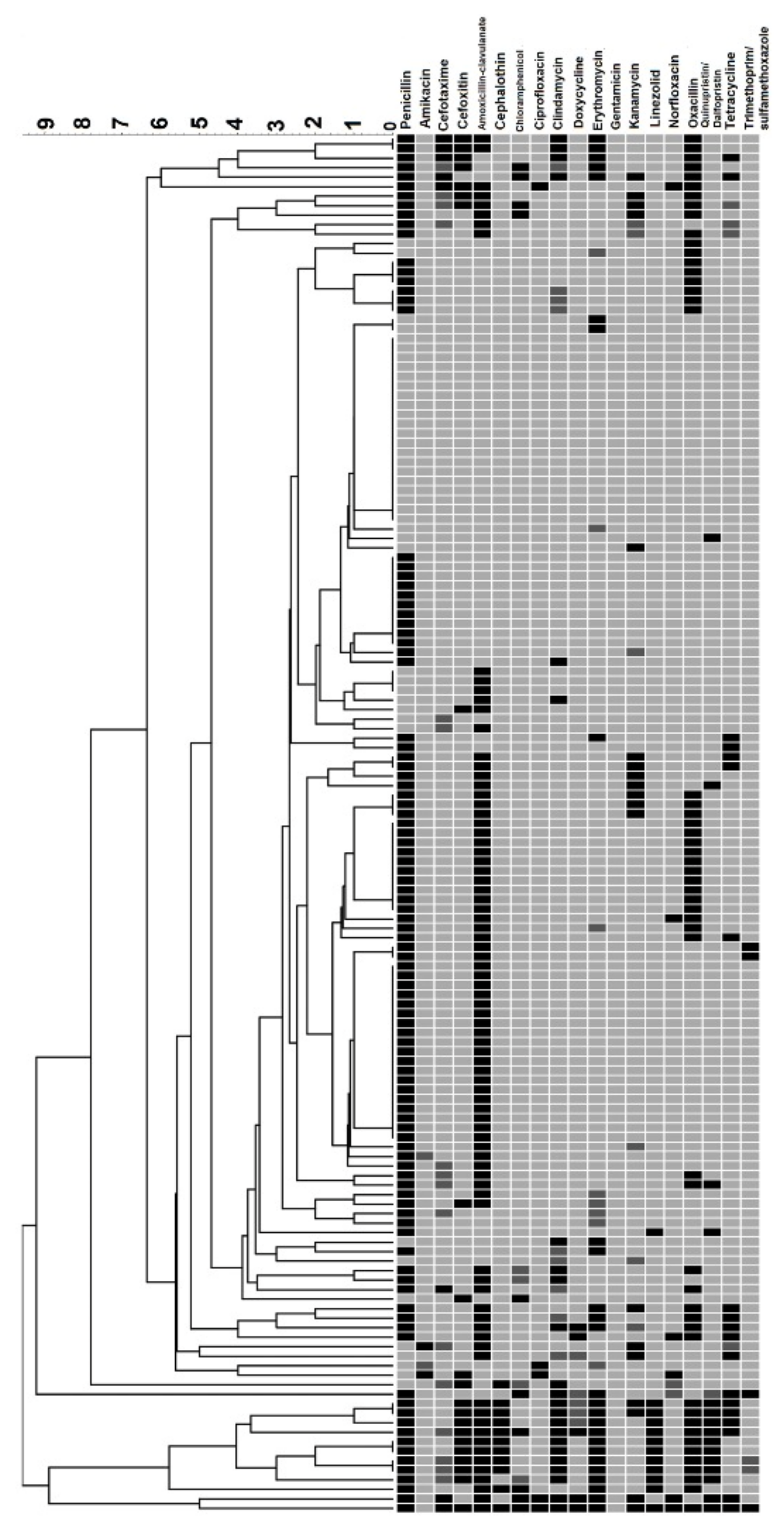 Antibiotics 11 00103 g001