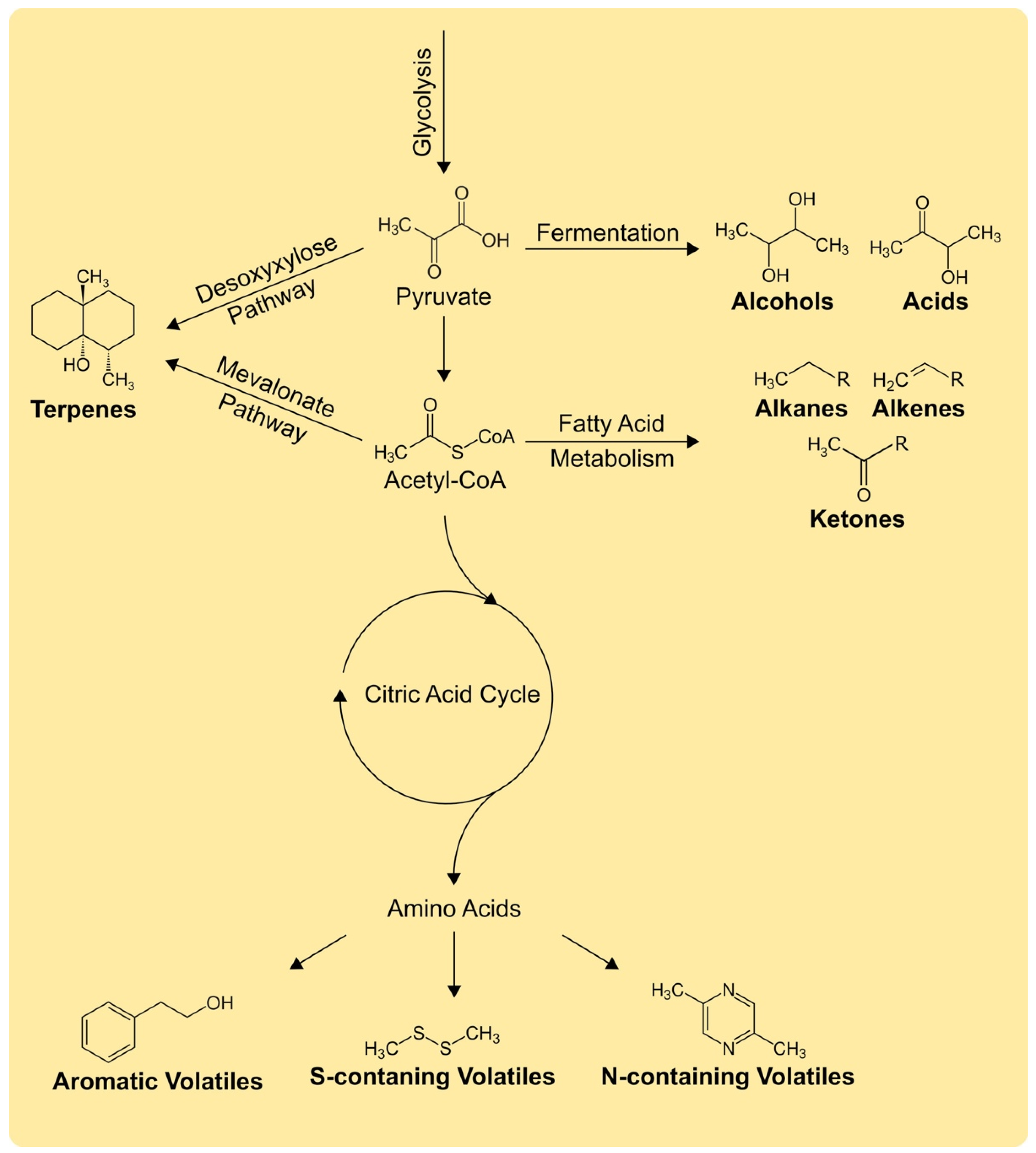 Antibiotics 11 00109 g001 Antibiotics 11 00109 g001