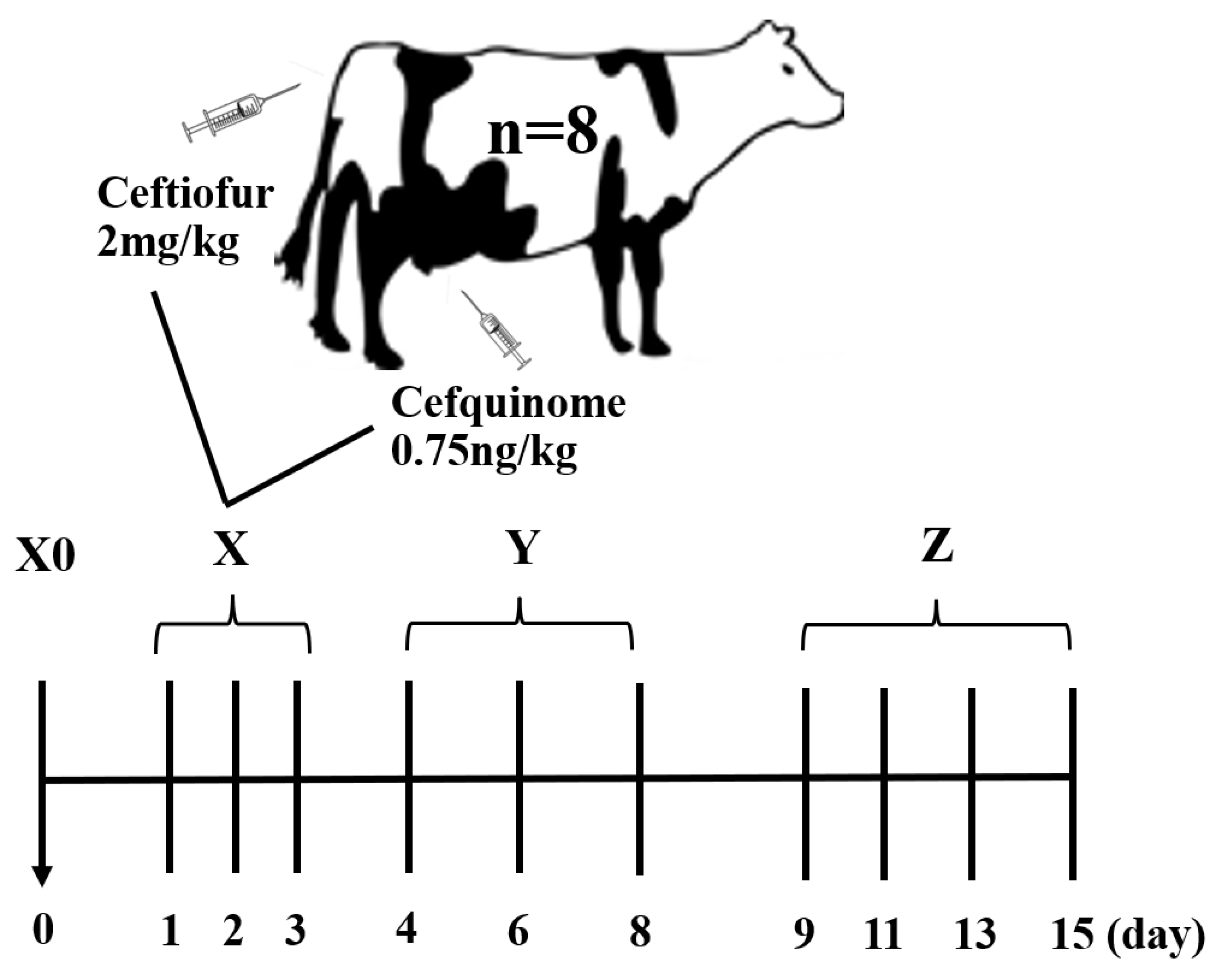 Antibiotics 11 00117 g005