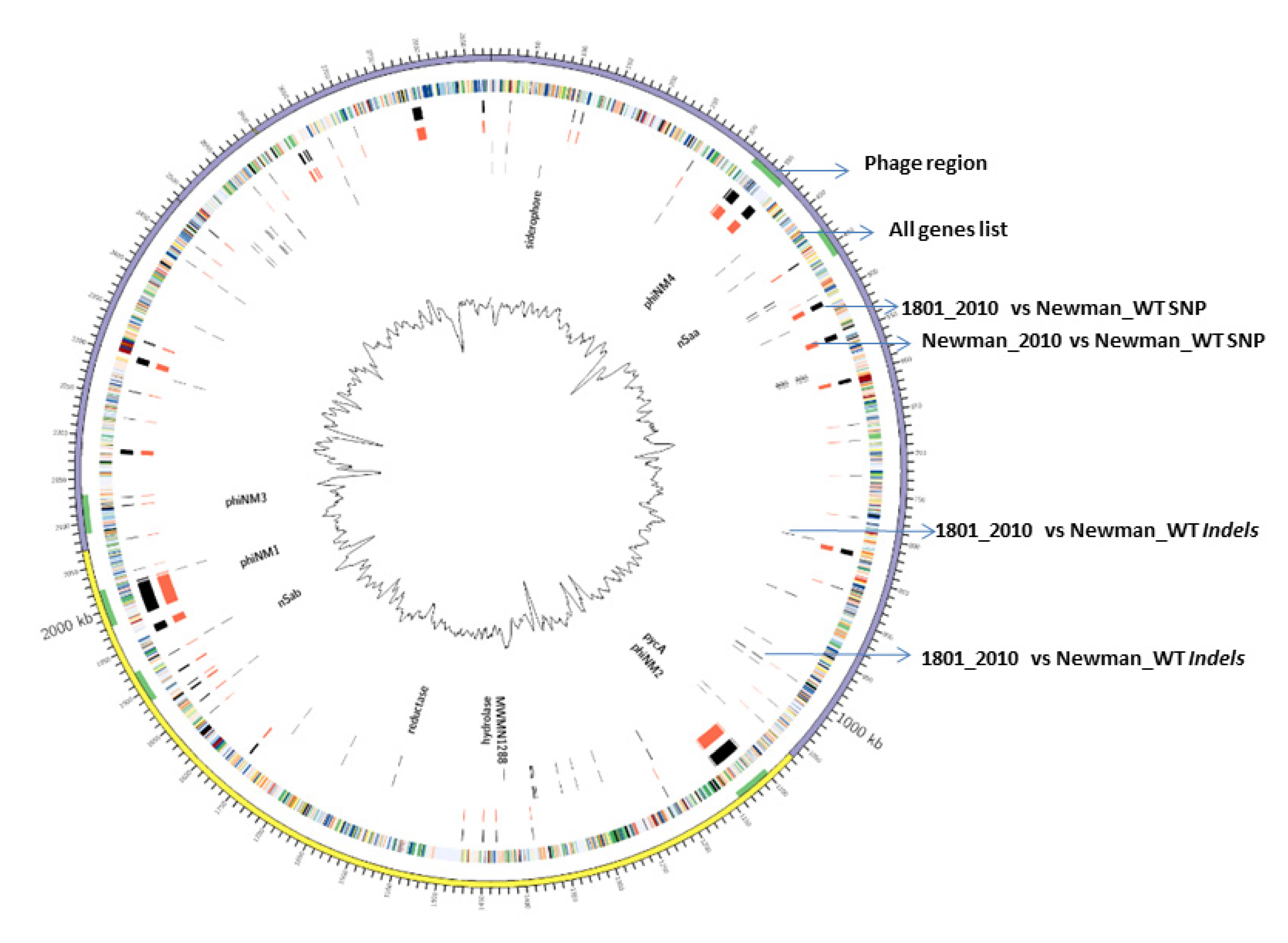 Antibiotics 11 00125 g001