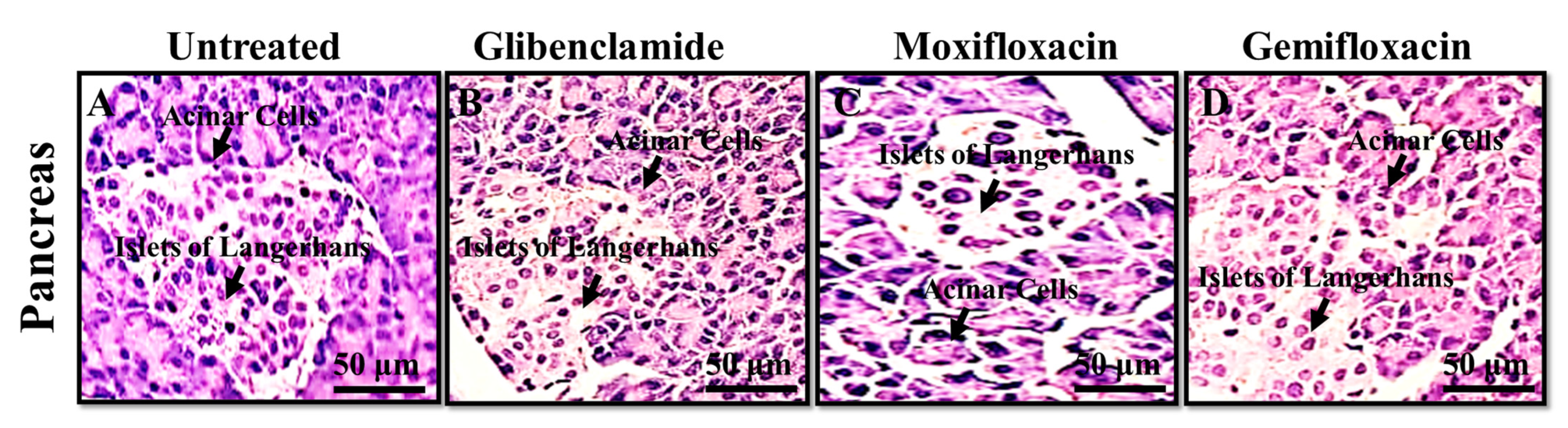 Antibiotics 11 00148 g001