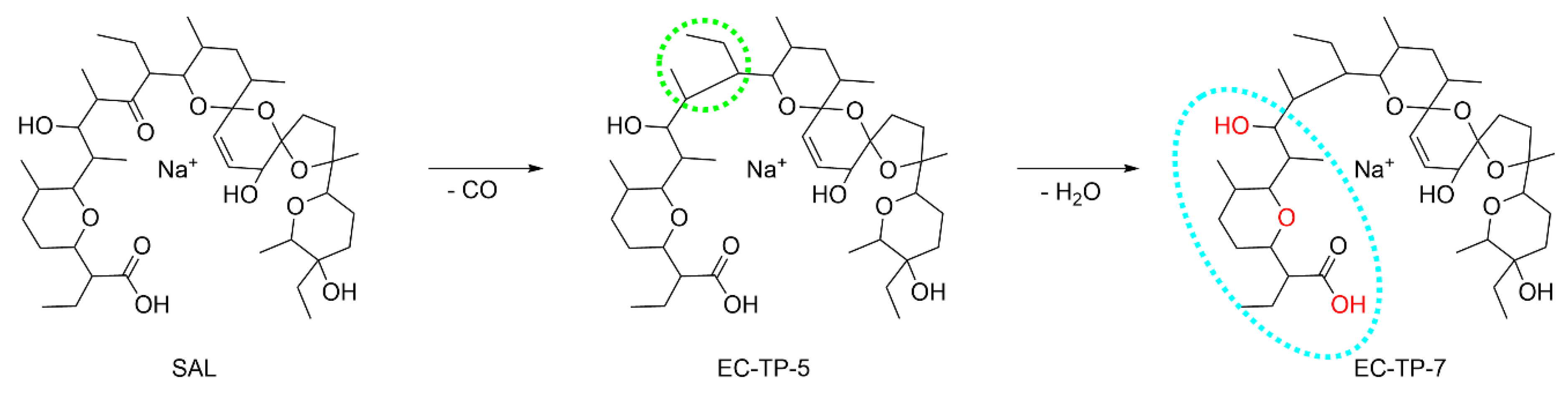 Antibiotics 11 00155 g004