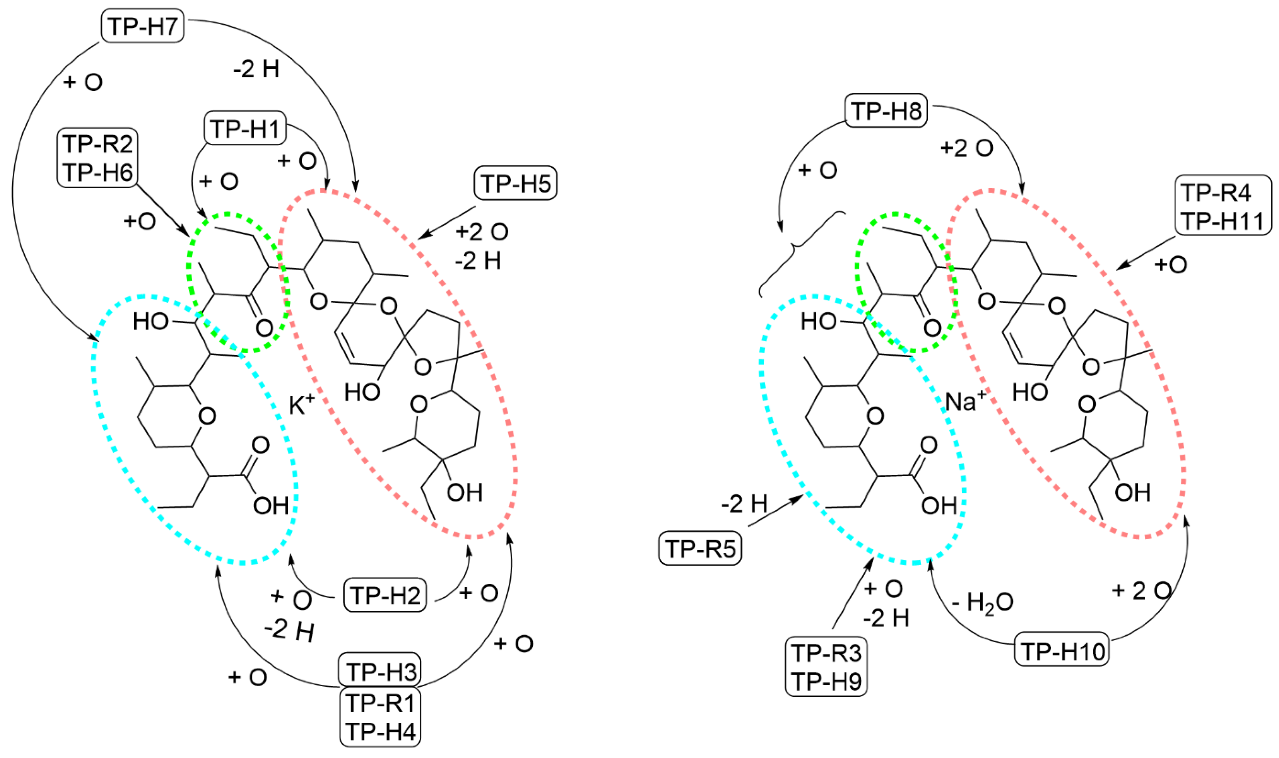 Antibiotics 11 00155 g005