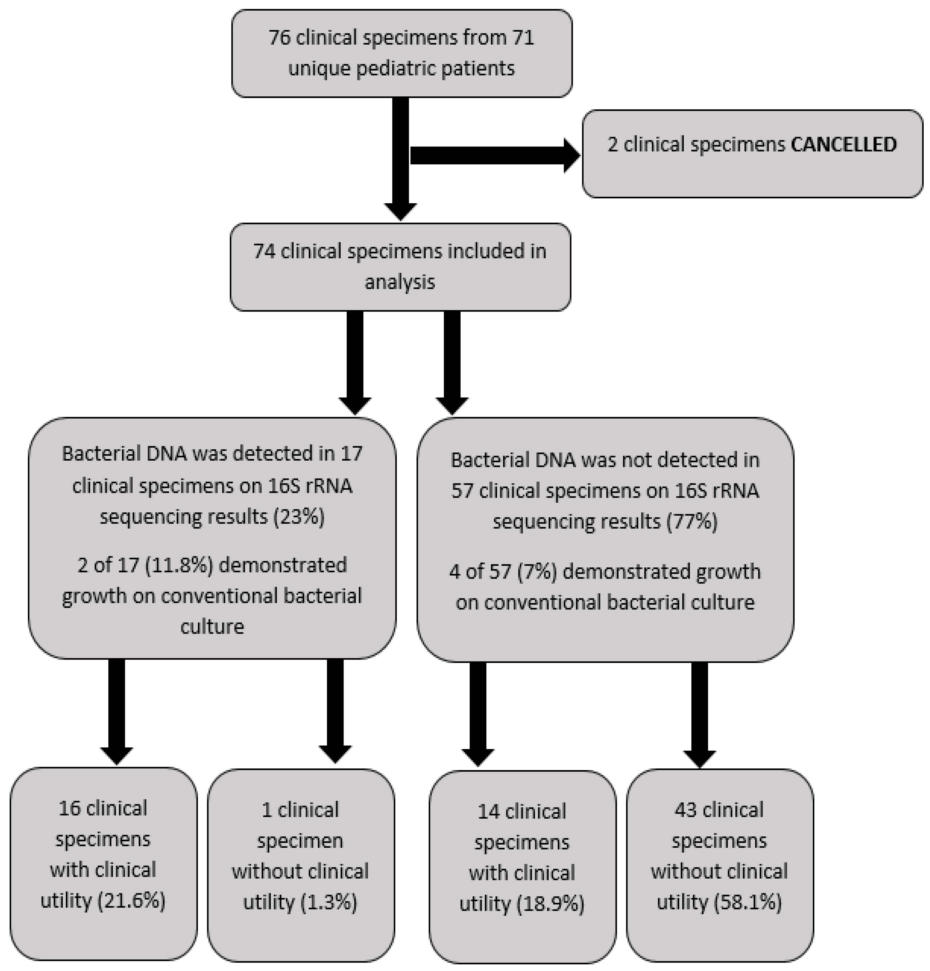 Antibiotics 11 00159 g001