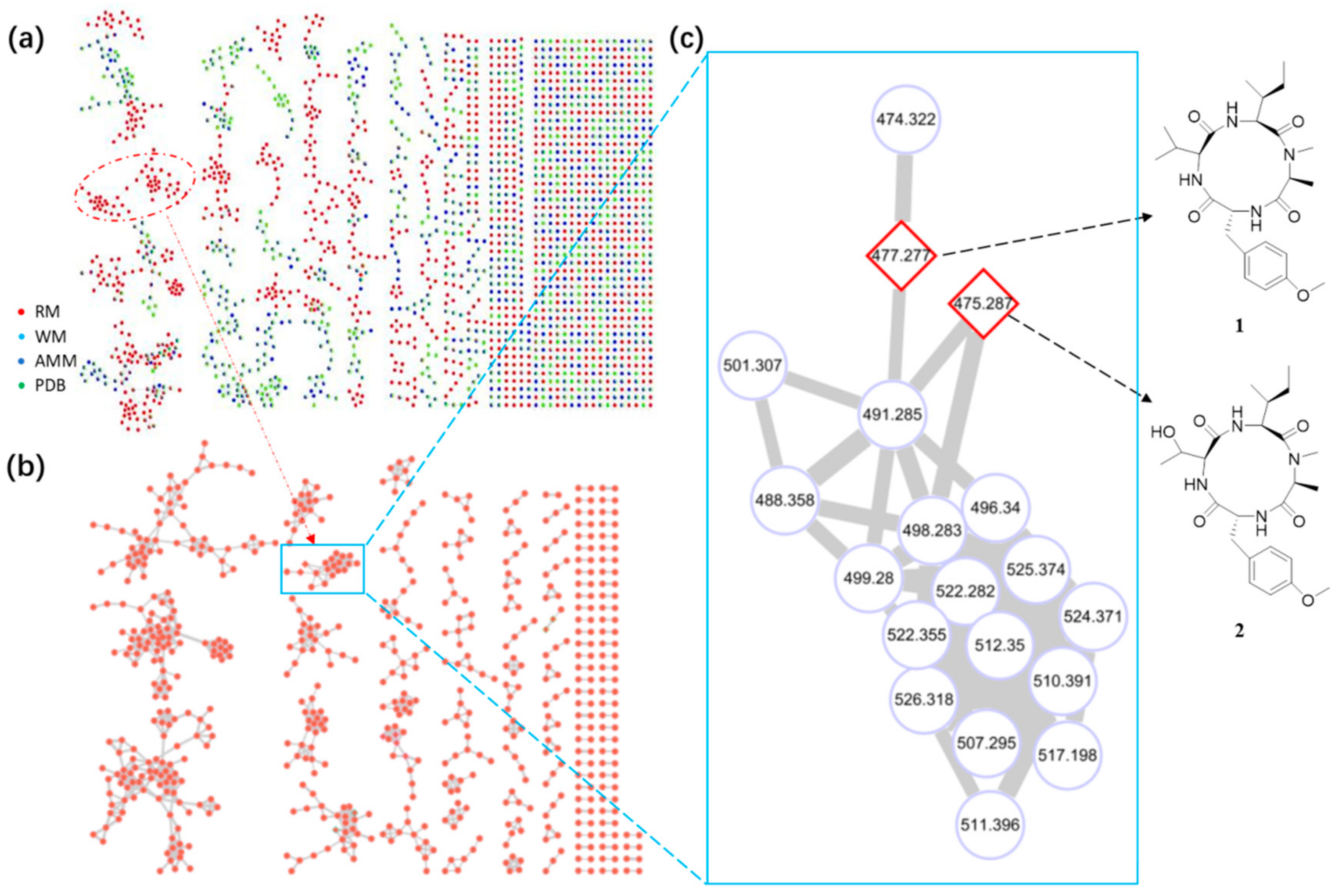 Antibiotics 11 00166 g002
