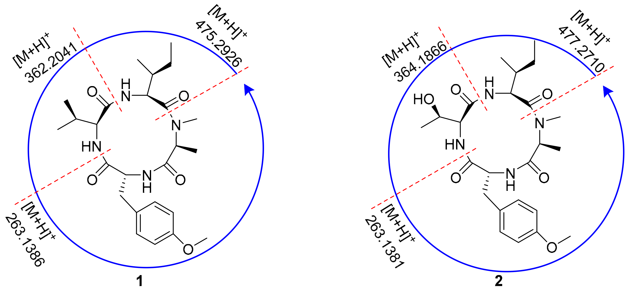Antibiotics 11 00166 g004