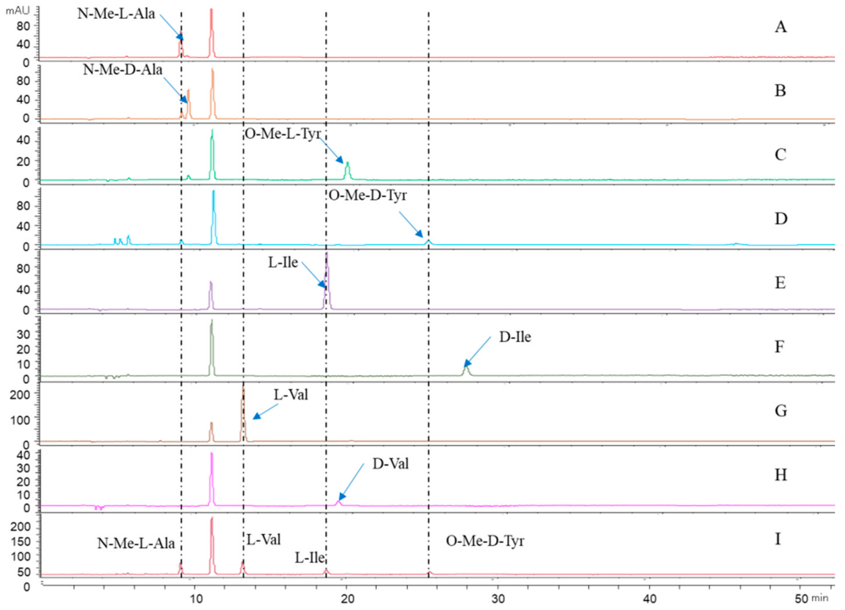 Antibiotics 11 00166 g005