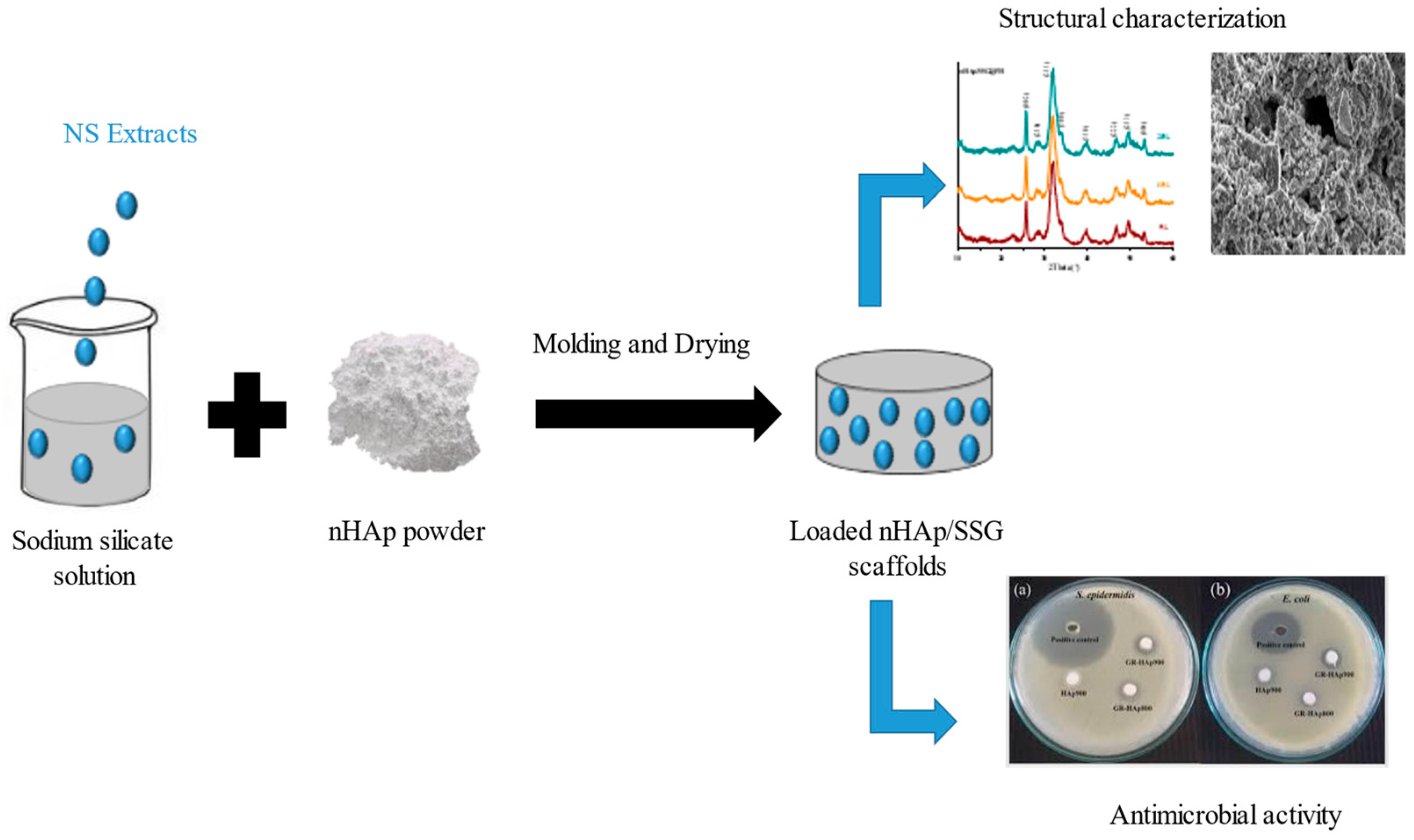 Antibiotics 11 00170 g004
