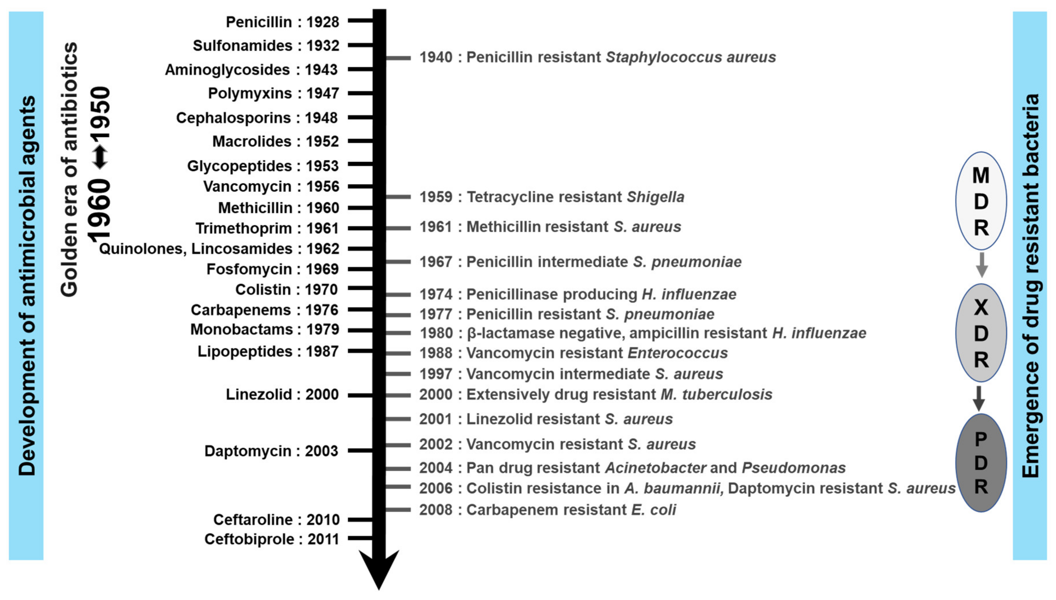 Antibiotics 11 00200 g002