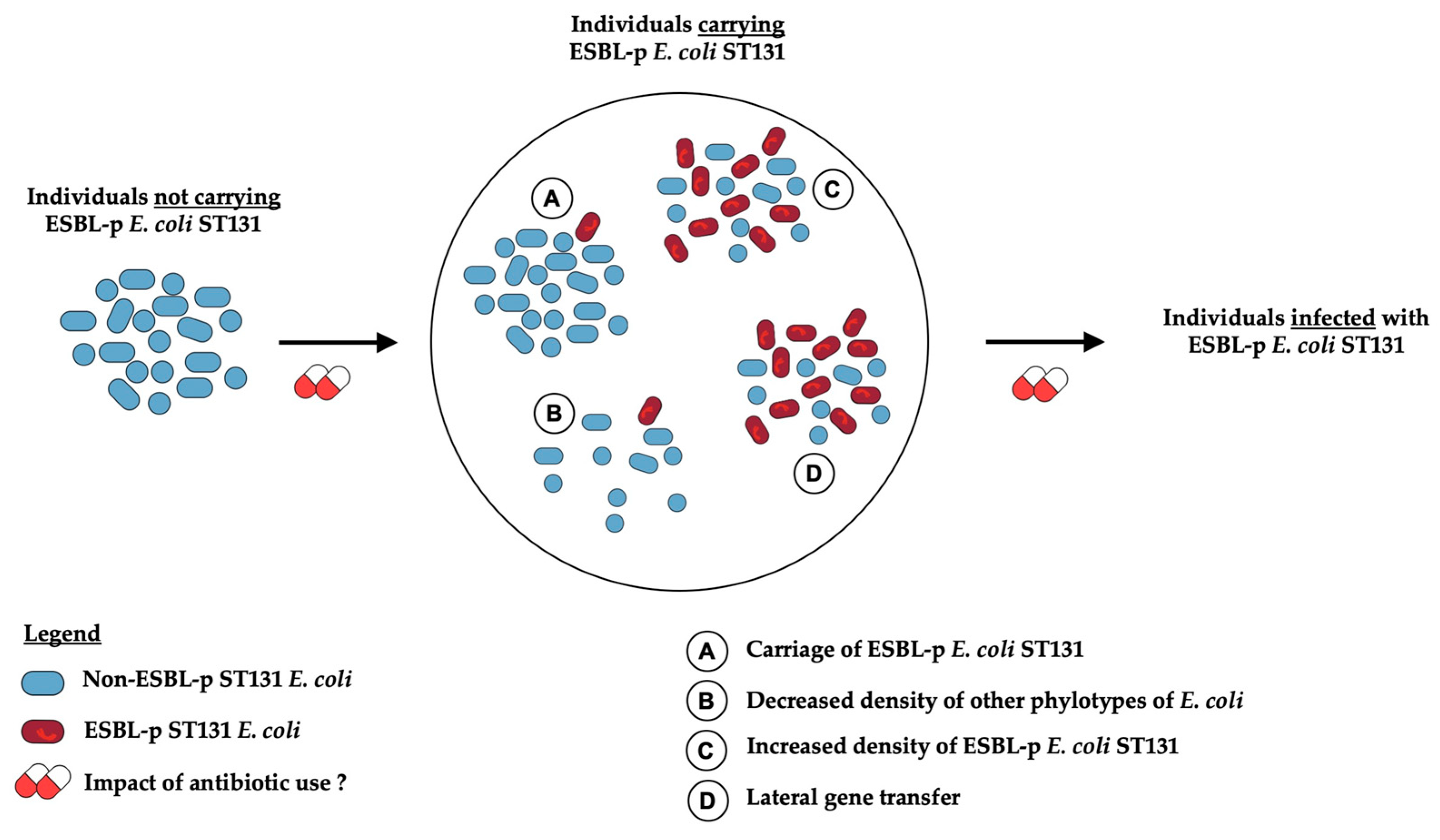 Antibiotics 11 00201 g001 Antibiotics 11 00201 g001