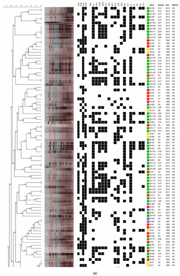 Antibiotics 11 00205 g001a Antibiotics 11 00205 g001a