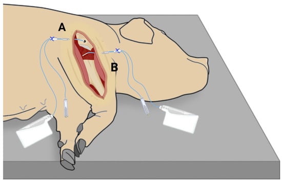 Antibiotics 11 00208 g002