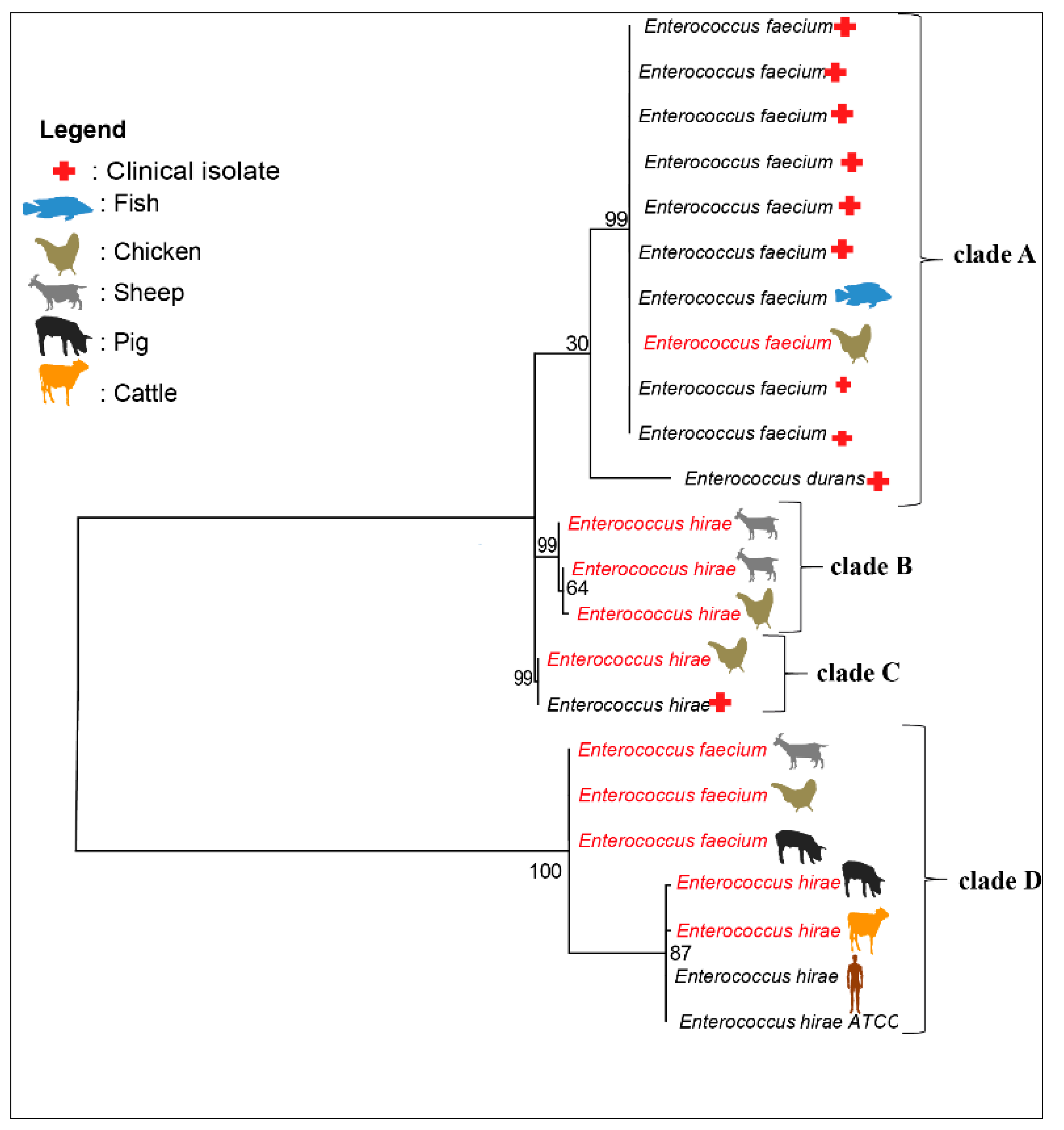 Antibiotics 11 00224 g001