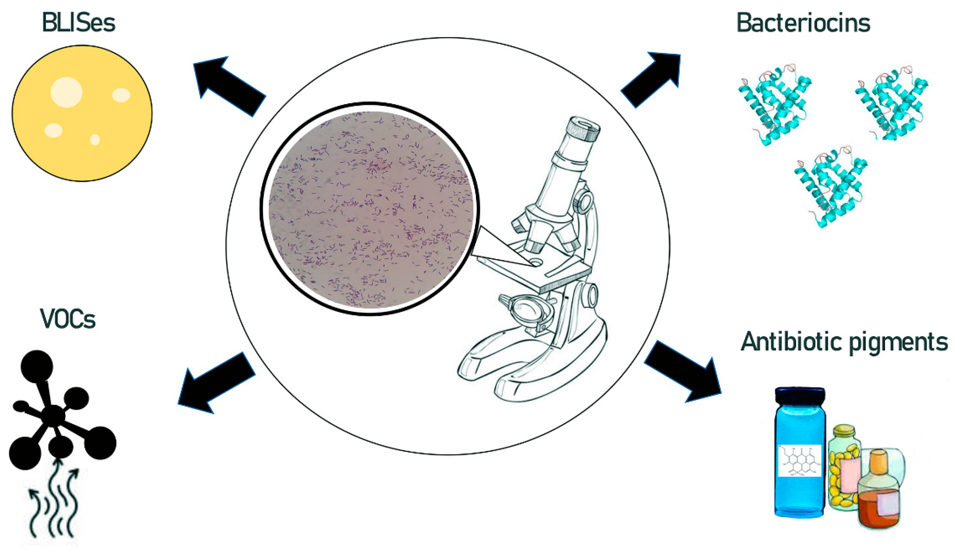 Antibiotics 11 00242 g002