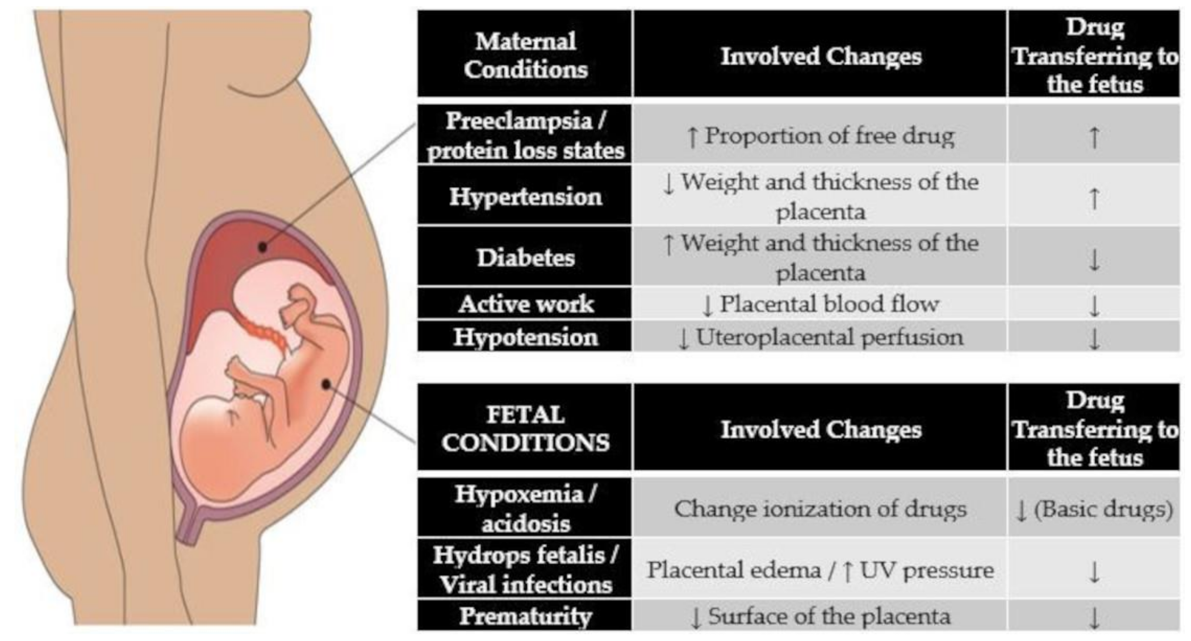 Antibiotics 11 00252 g001