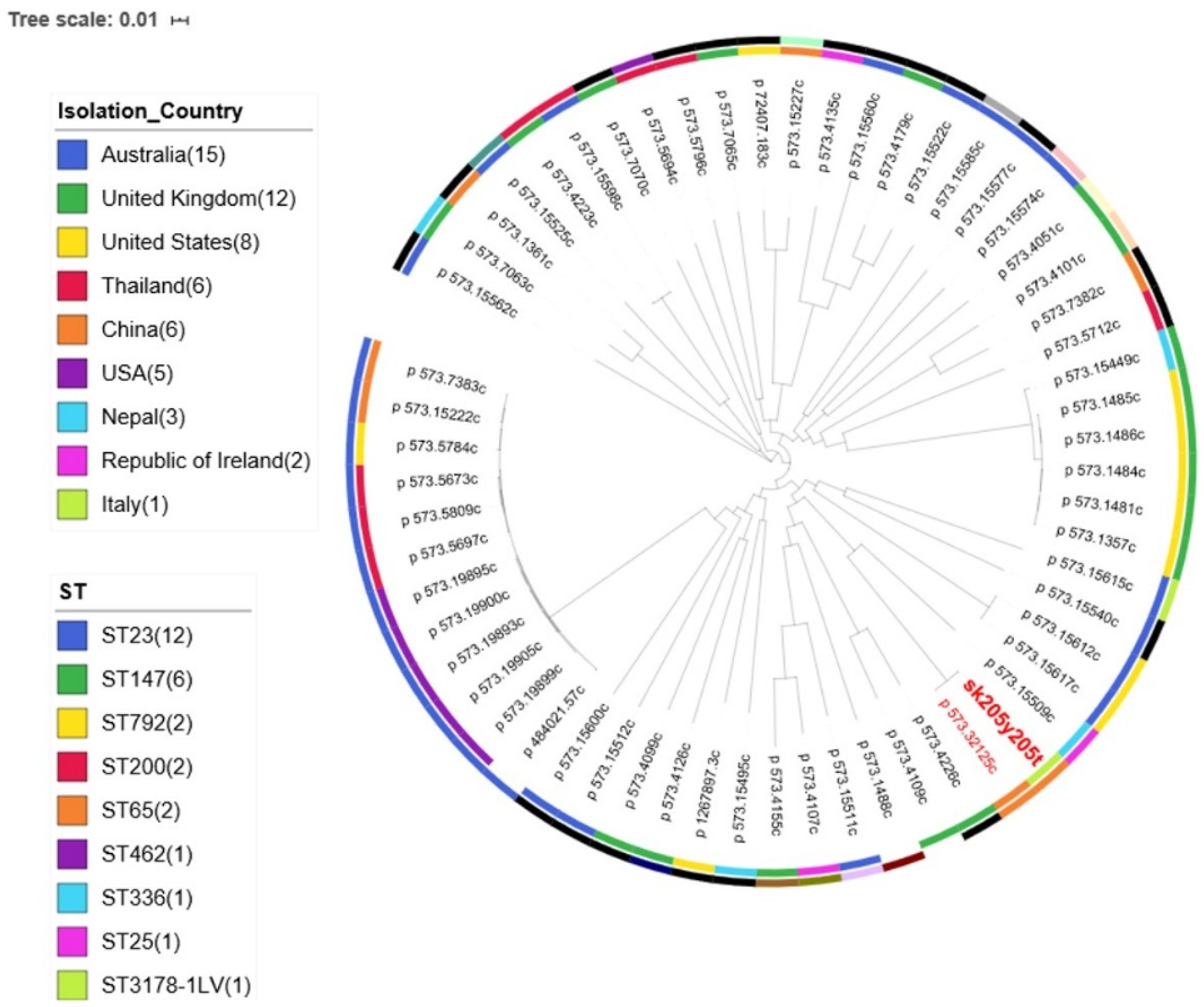 Antibiotics 11 00261 g001 Antibiotics 11 00261 g001