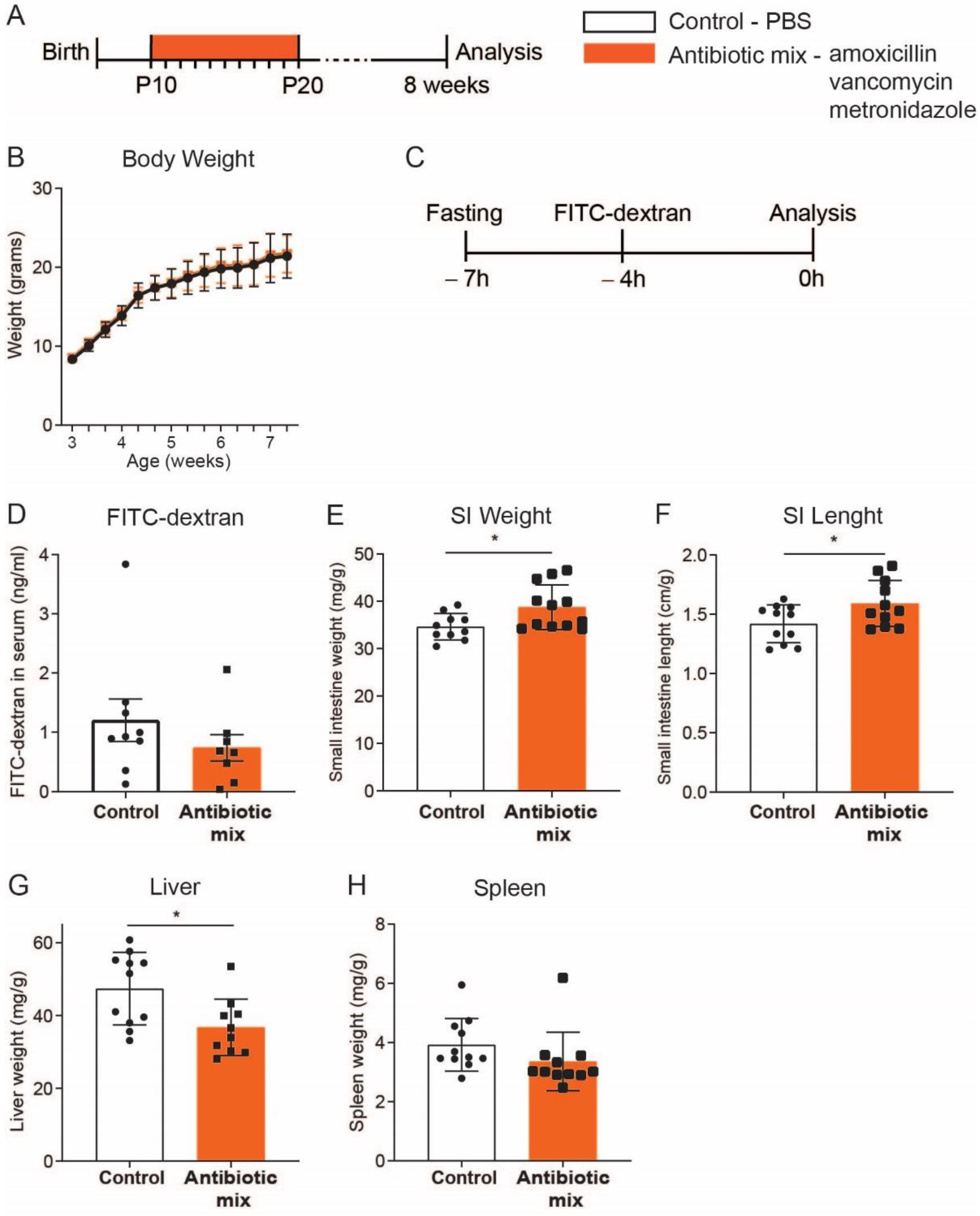 Antibiotics 11 00267 g001
