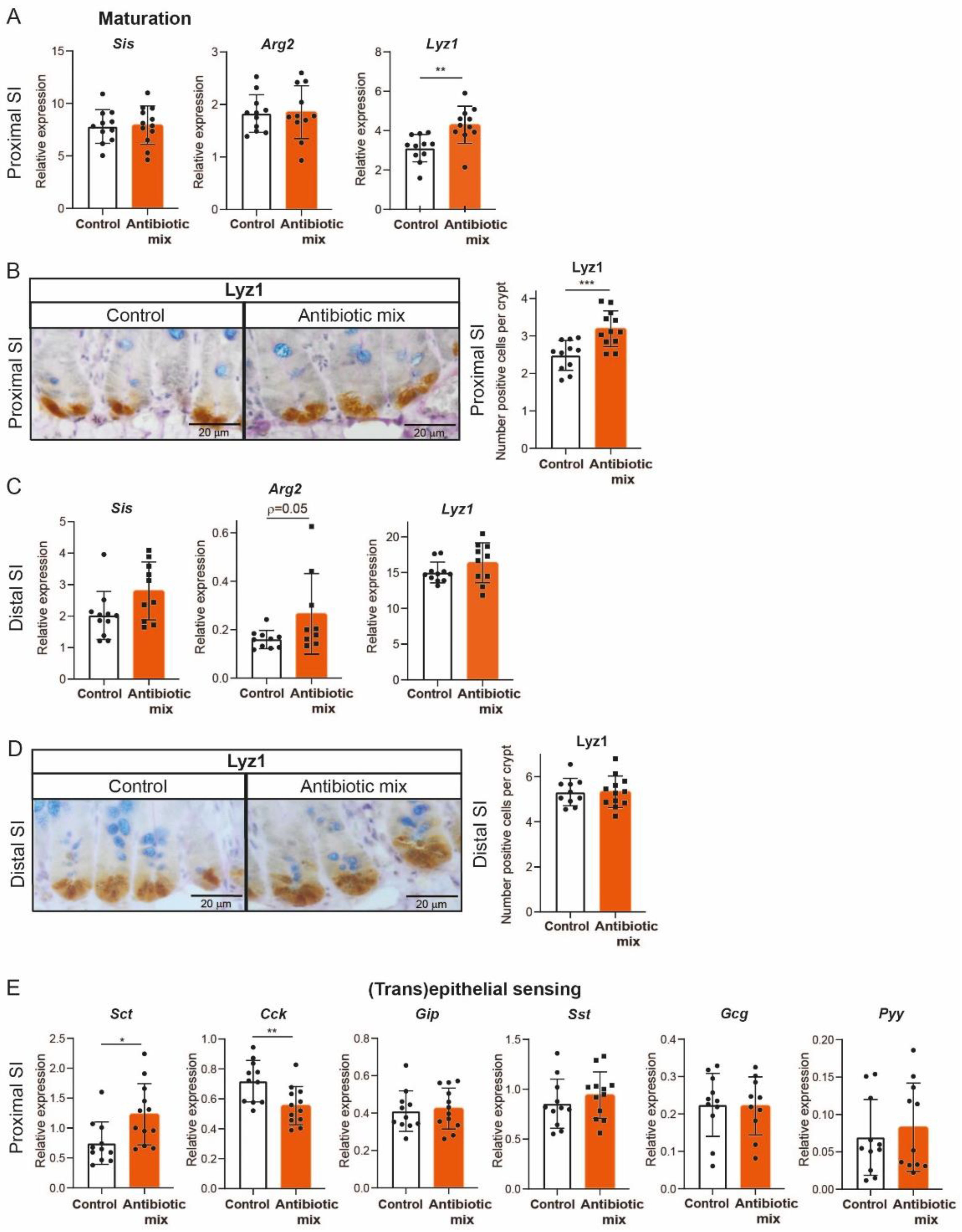 Antibiotics 11 00267 g003