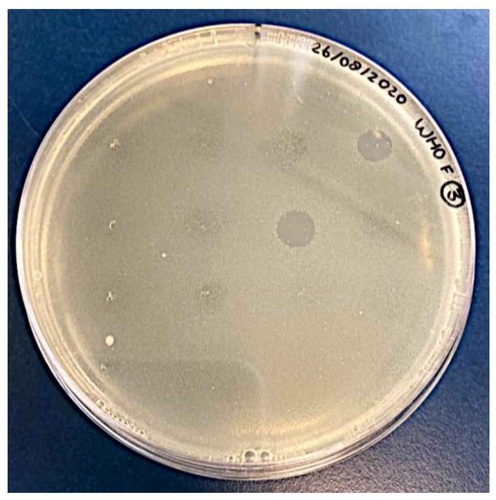 Antibiotics 11 00268 g001