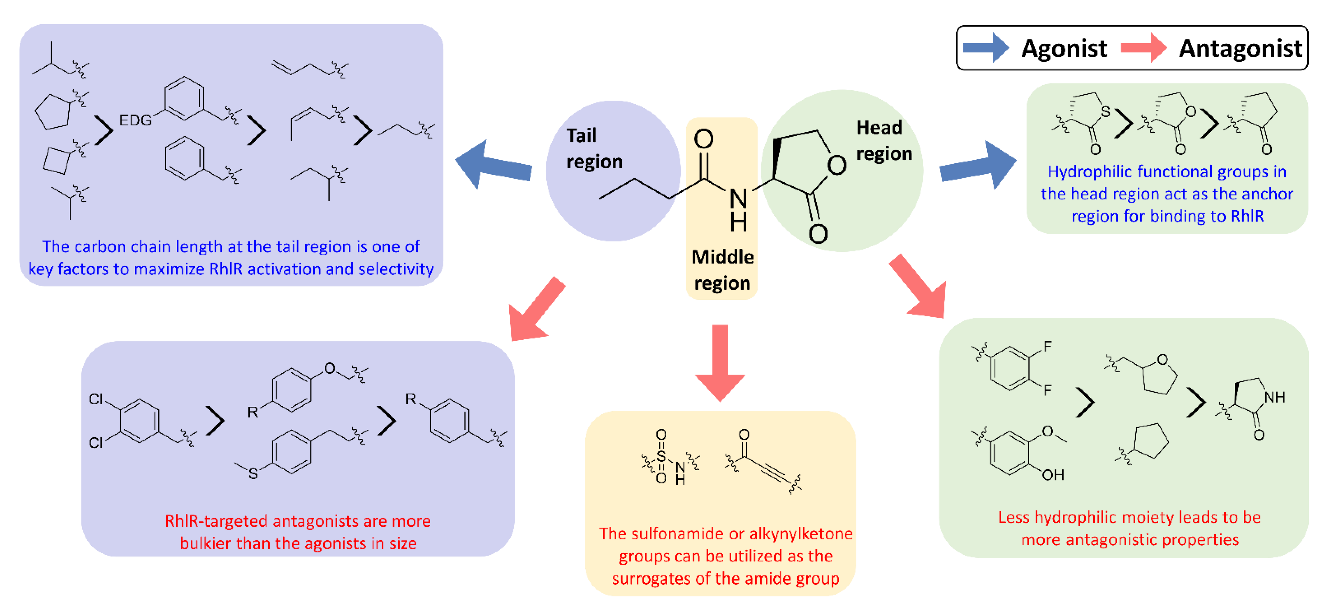 Antibiotics 11 00274 g003